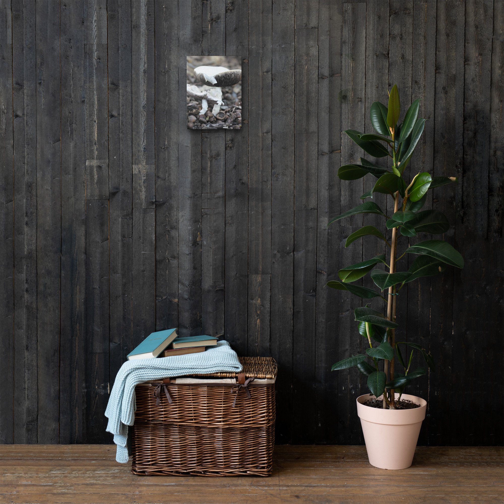 thin-canvas-(in)-9x12-front-66f626a3c9b5e.jpg