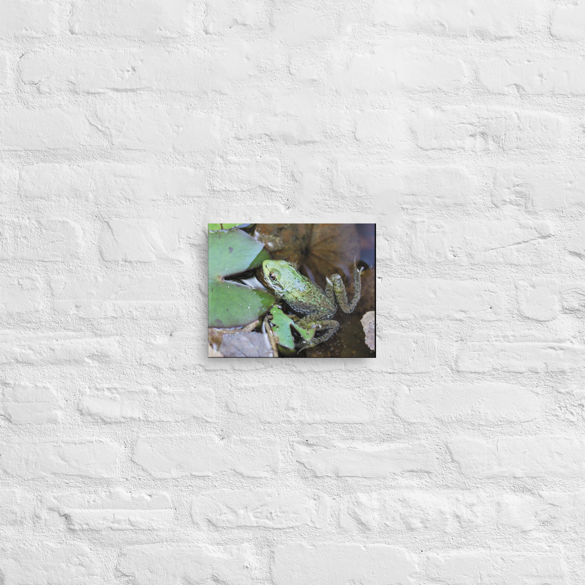 thin-canvas-(in)-8x10-front-66f628765c195.jpg