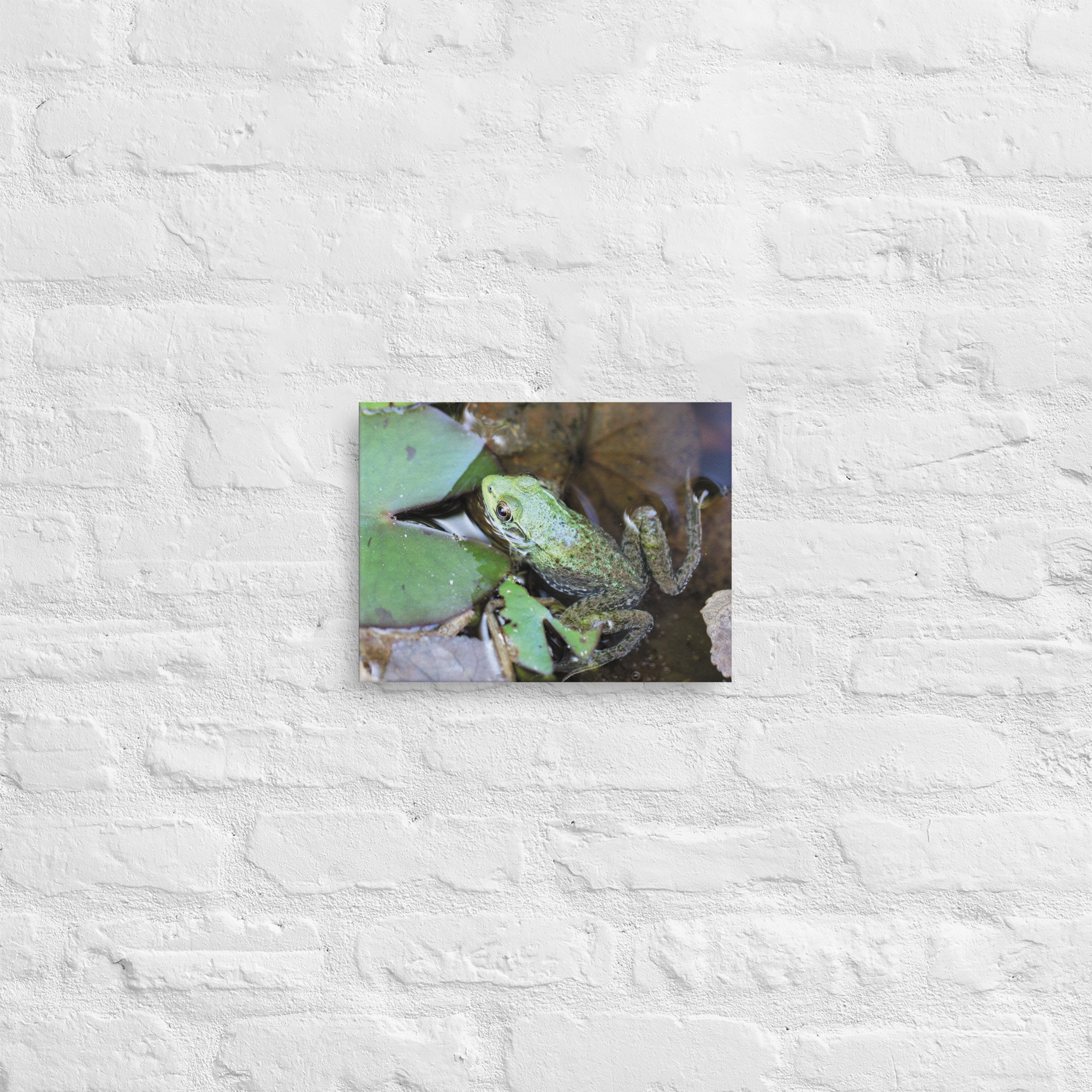 thin-canvas-(in)-9x12-front-66f628765c243.jpg