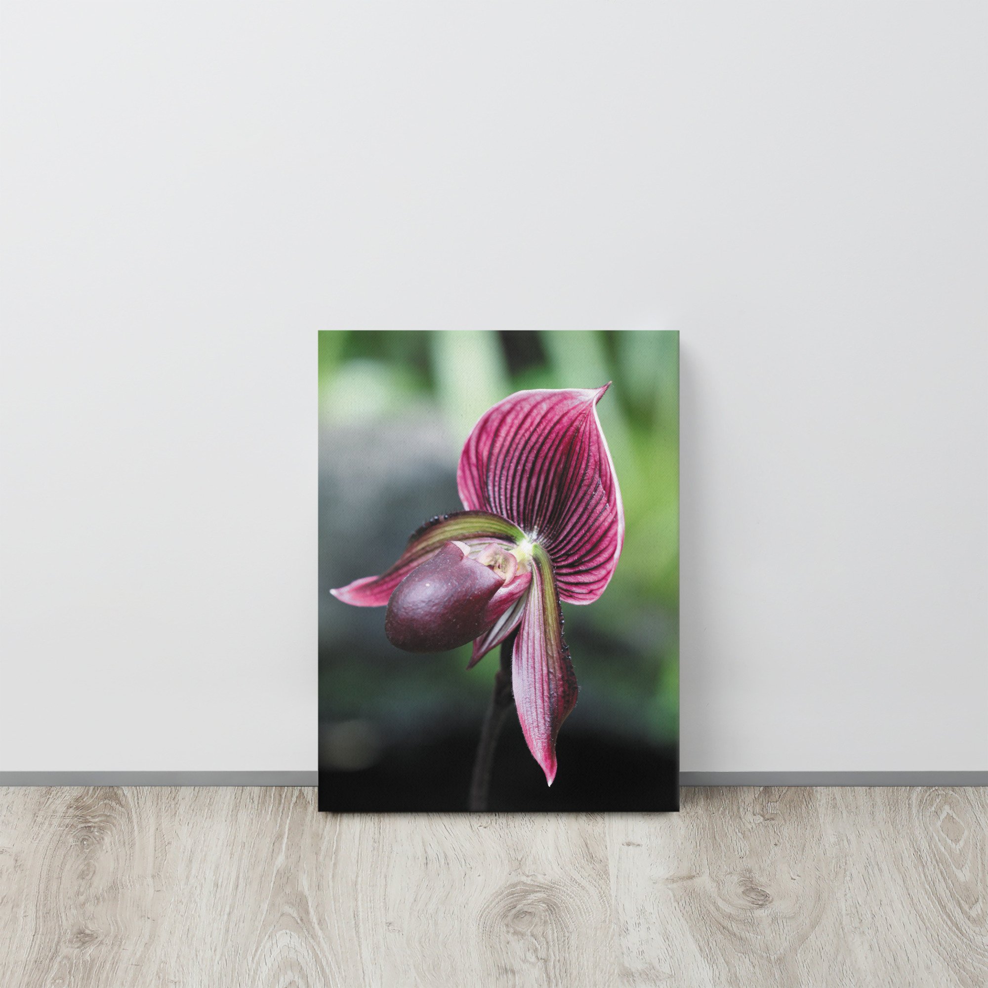 thin-canvas-(in)-12x16-front-66f62ee74b2ad.jpg