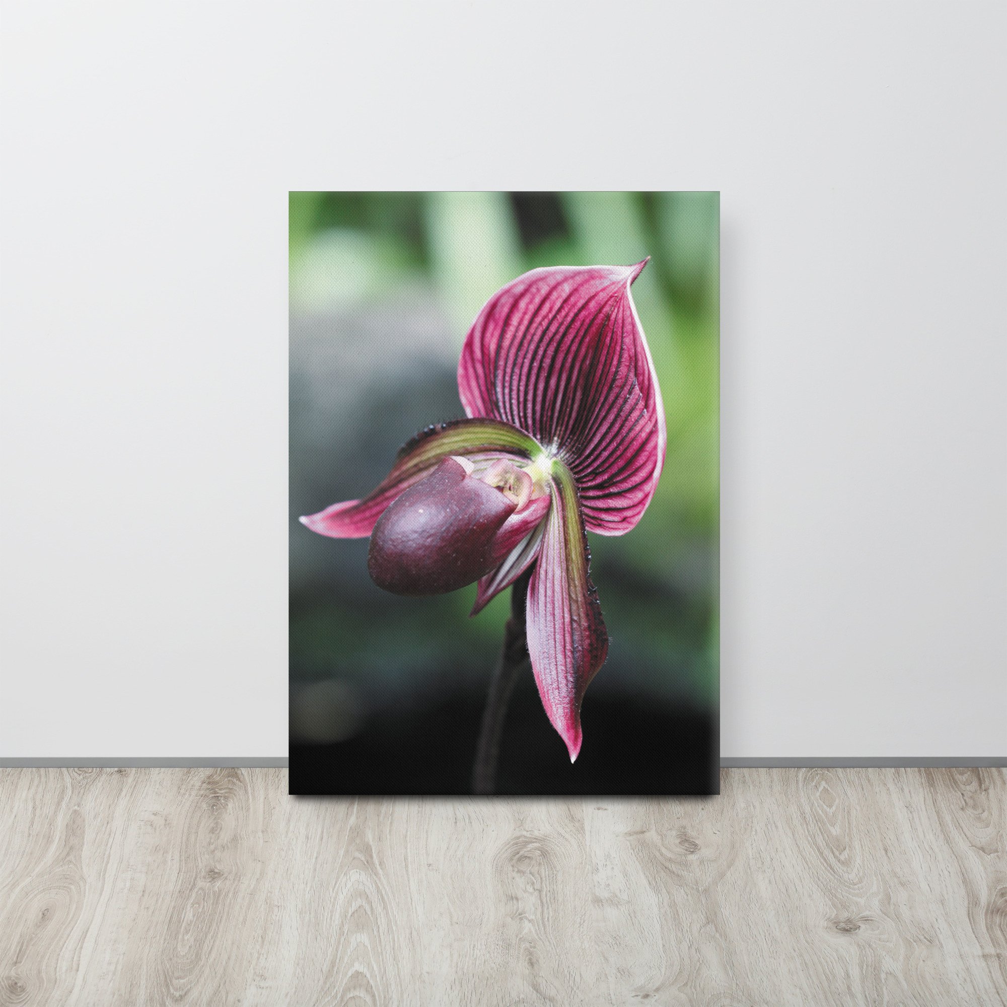 thin-canvas-(in)-20x28-front-66f62ee74b747.jpg