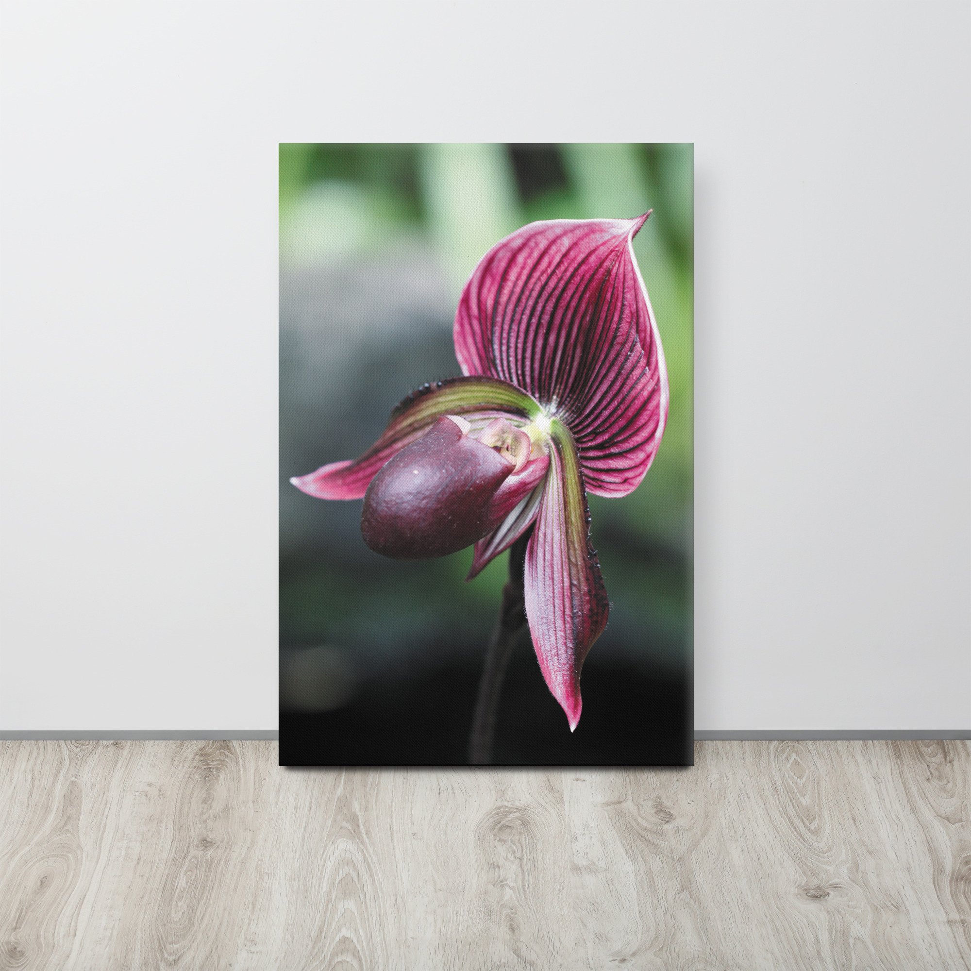 thin-canvas-(in)-20x30-front-66f62ee74b7ec.jpg