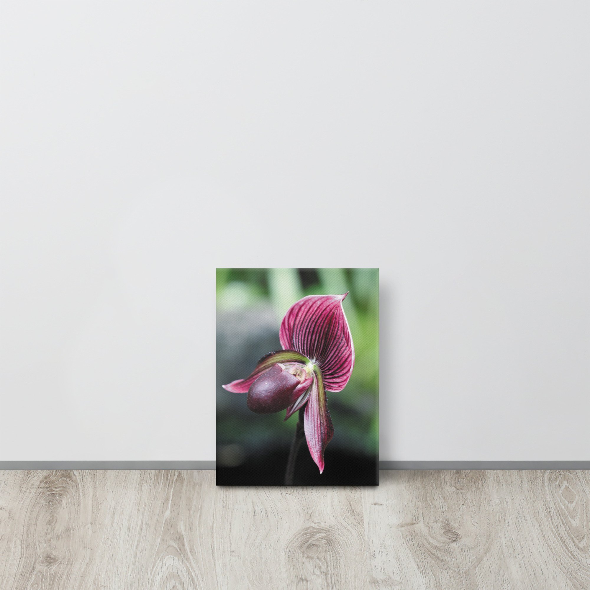 thin-canvas-(in)-9x12-front-66f62ee74b967.jpg