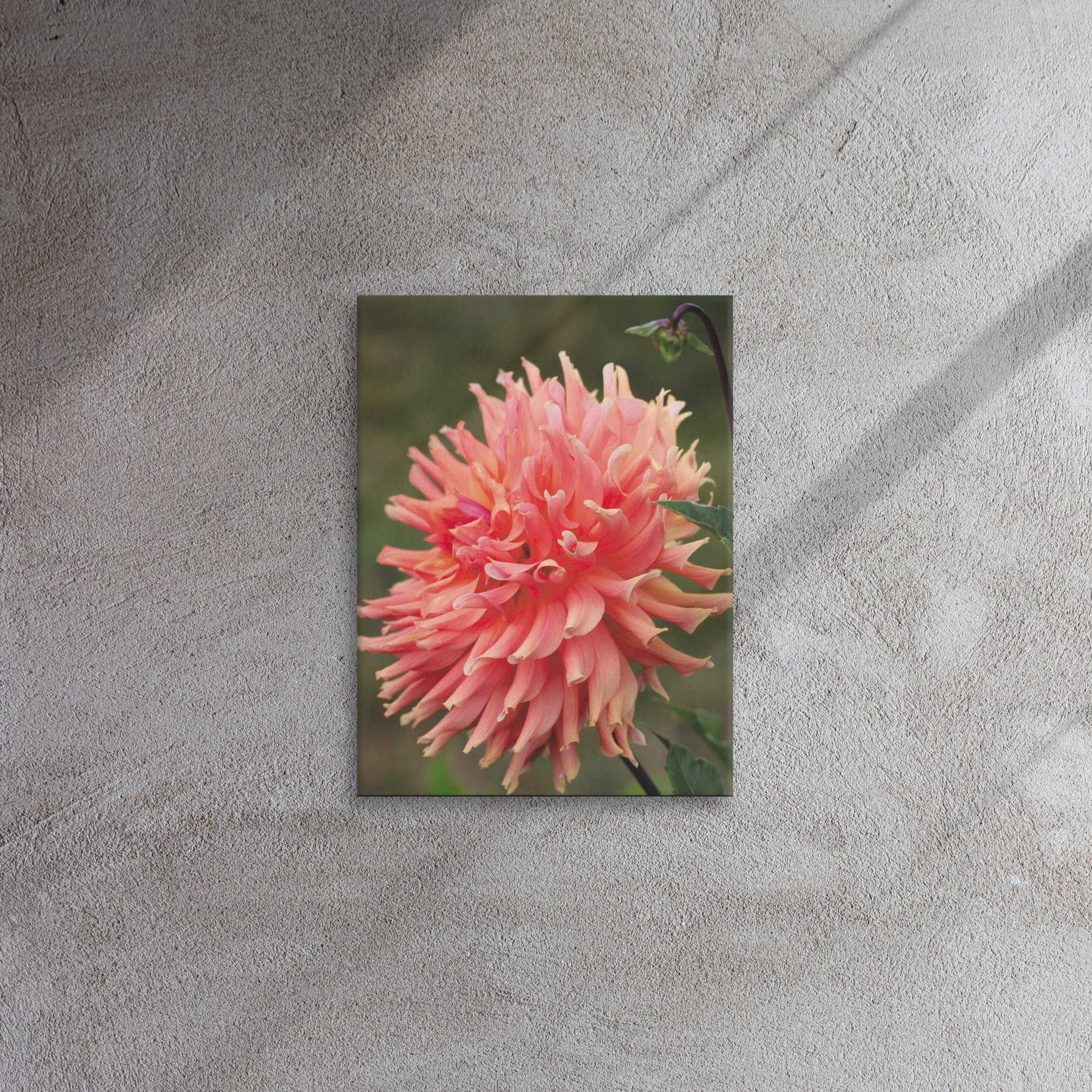 thin-canvas-(in)-12x16-front-66f6d996529ee.jpg
