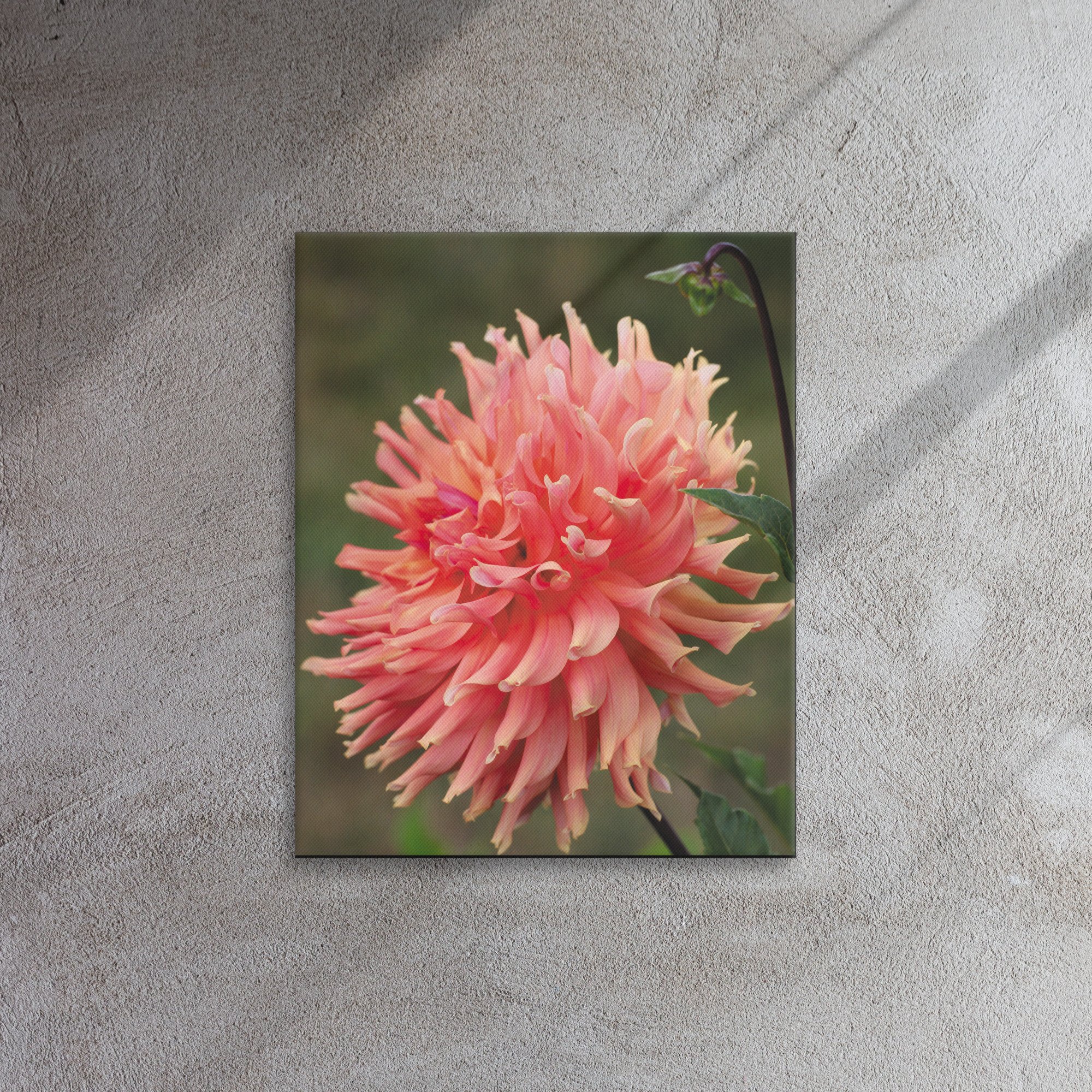 thin-canvas-(in)-16x20-front-66f6d99652b0a.jpg