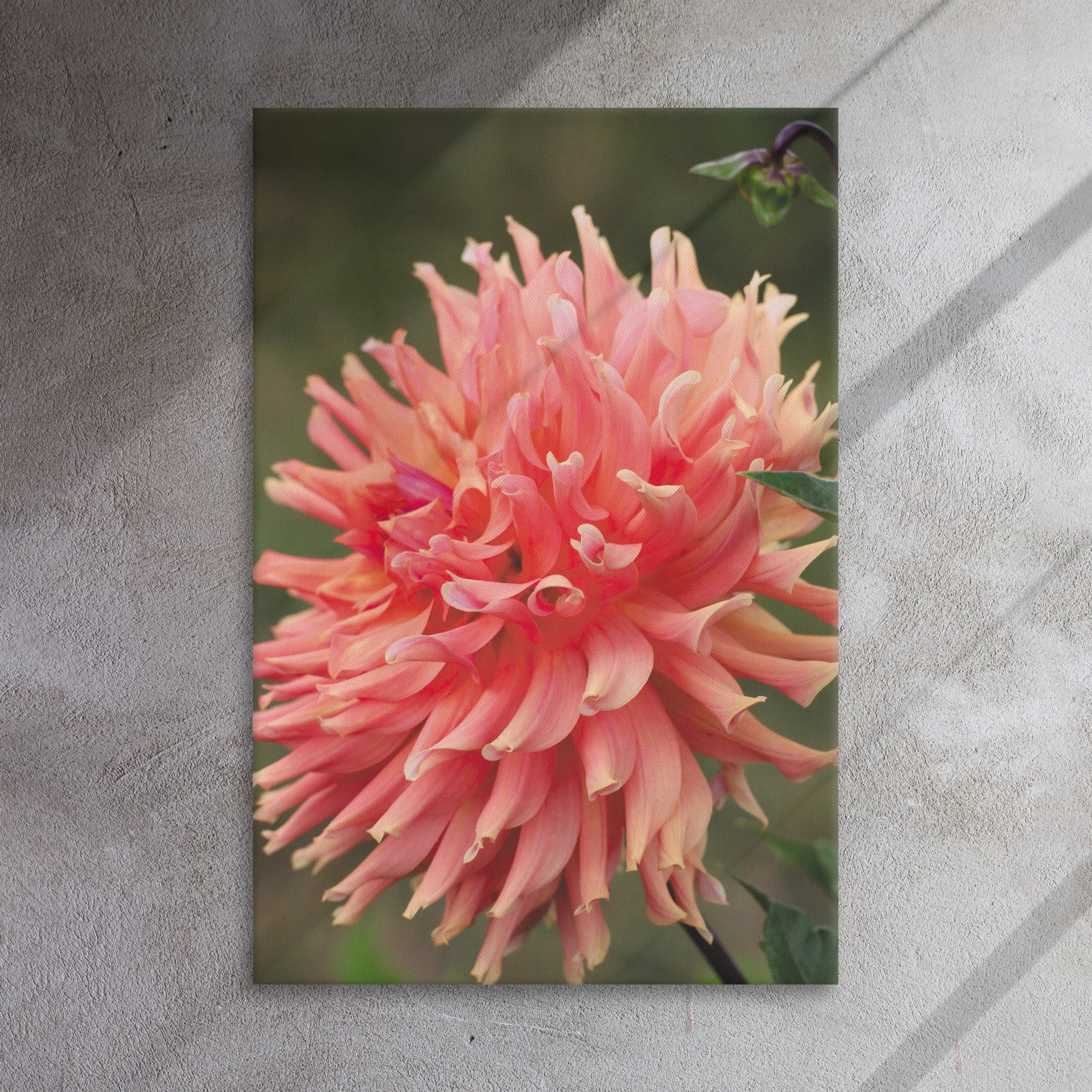 thin-canvas-(in)-24x36-front-66f6d99652c9e.jpg