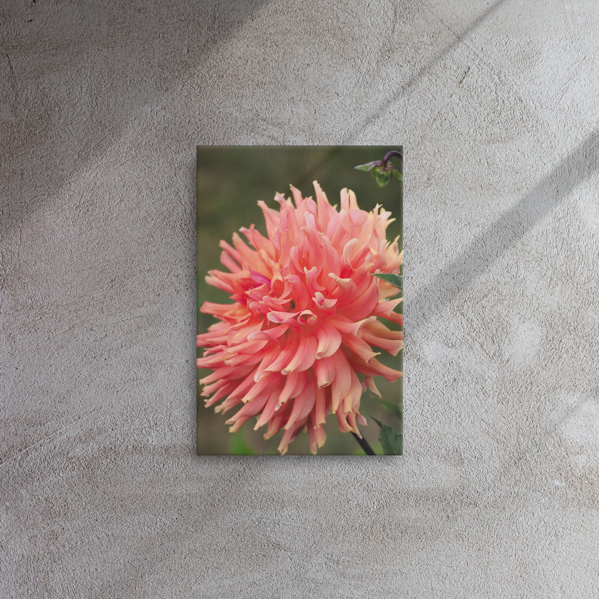thin-canvas-(in)-12x18-front-66f6d99652e14.jpg