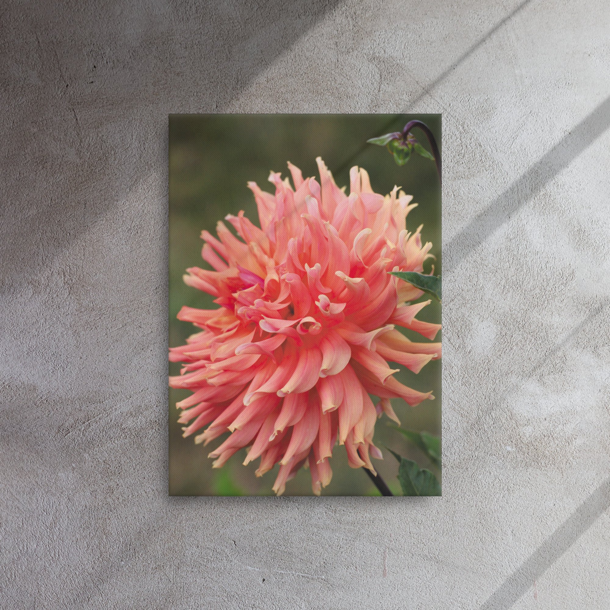 thin-canvas-(in)-20x28-front-66f6d99652ec8.jpg