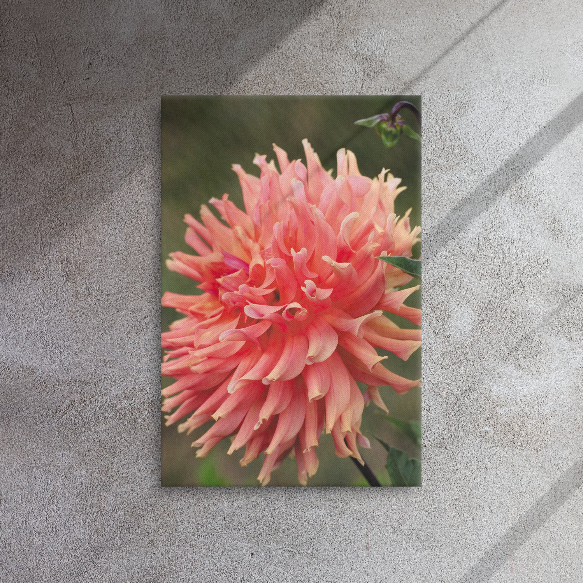 thin-canvas-(in)-20x30-front-66f6d99652fa6.jpg