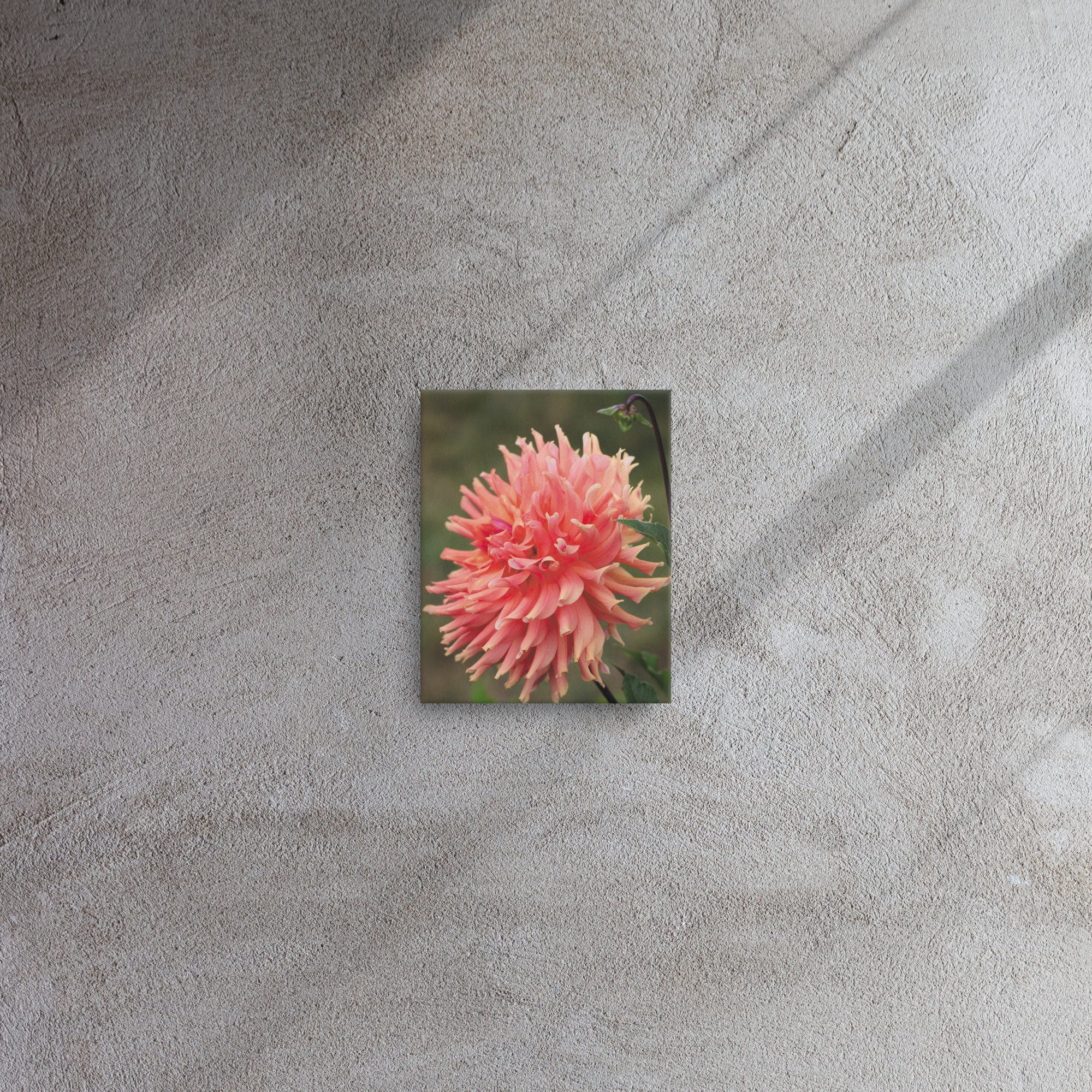 thin-canvas-(in)-8x10-front-66f6d9965309a.jpg
