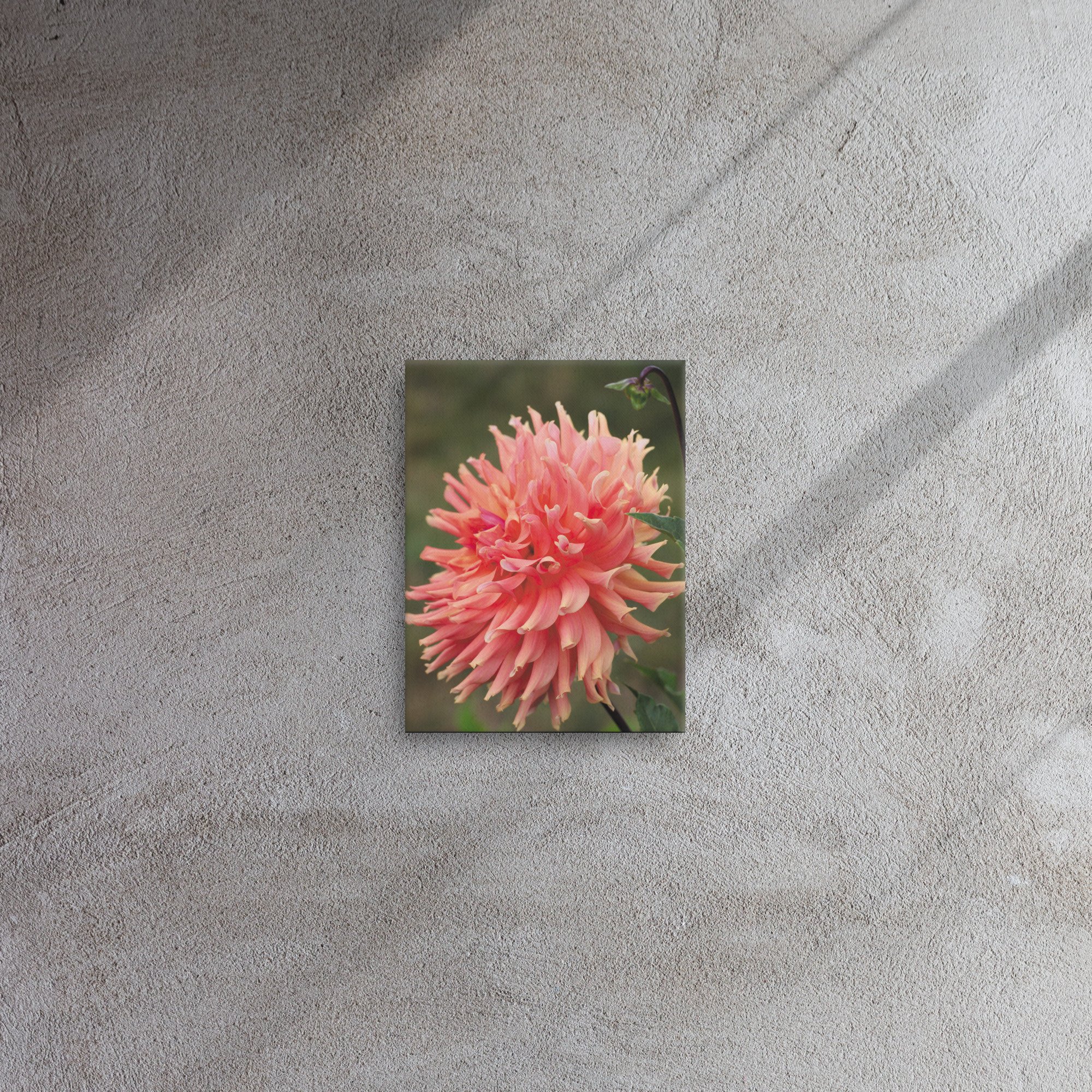 thin-canvas-(in)-9x12-front-66f6d996531a1.jpg