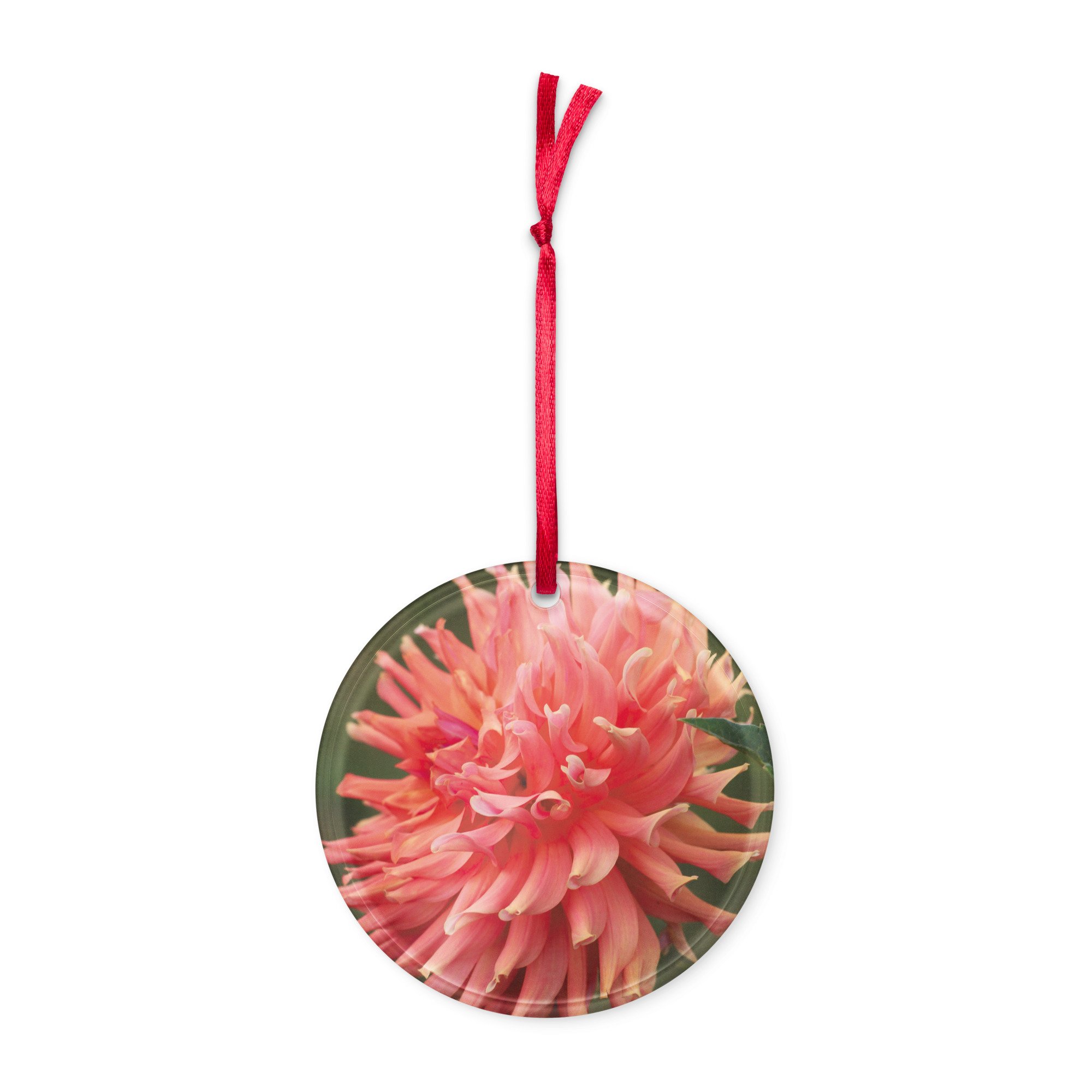 acrylic-ornaments-circle-front-6723f5f735da2.jpg