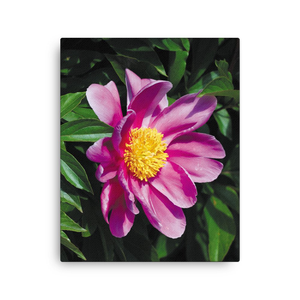 thin-canvas-(in)-16x20-front-67326d365c6a9.jpg