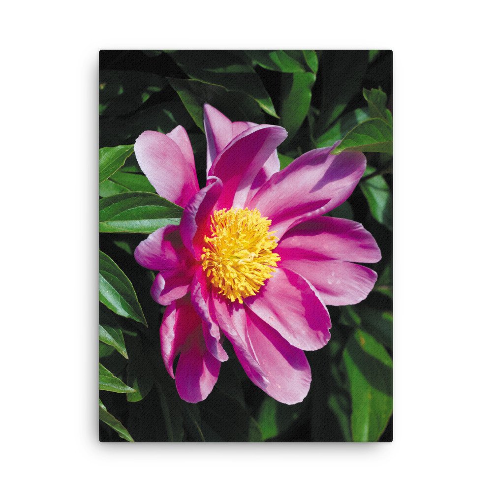 thin-canvas-(in)-18x24-front-67326d365c763.jpg