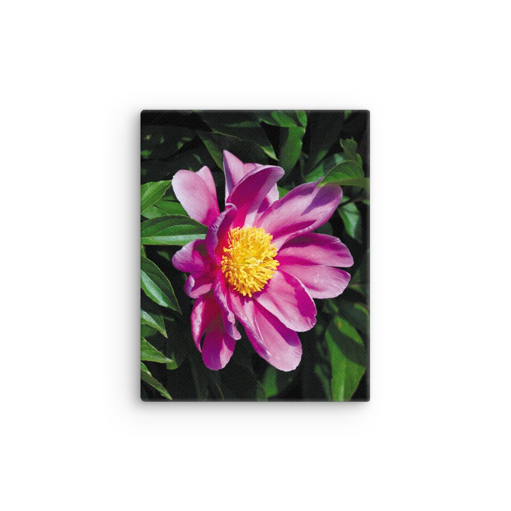 thin-canvas-(in)-11x14-front-67326d365c8e7.jpg