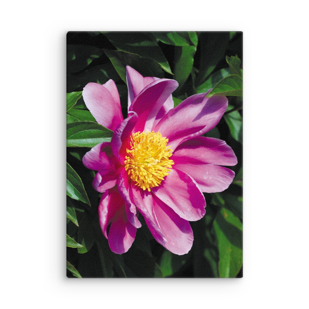 thin-canvas-(in)-20x28-front-67326d365ca37.jpg
