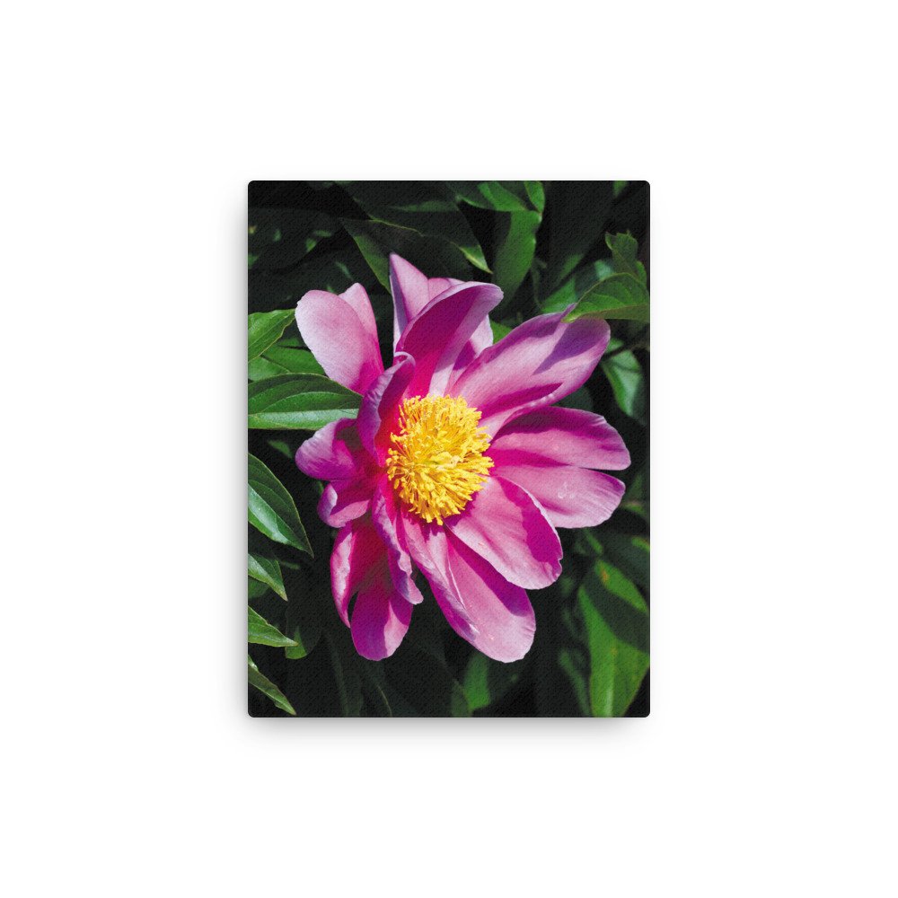 thin-canvas-(in)-9x12-front-67326d365cc7c.jpg