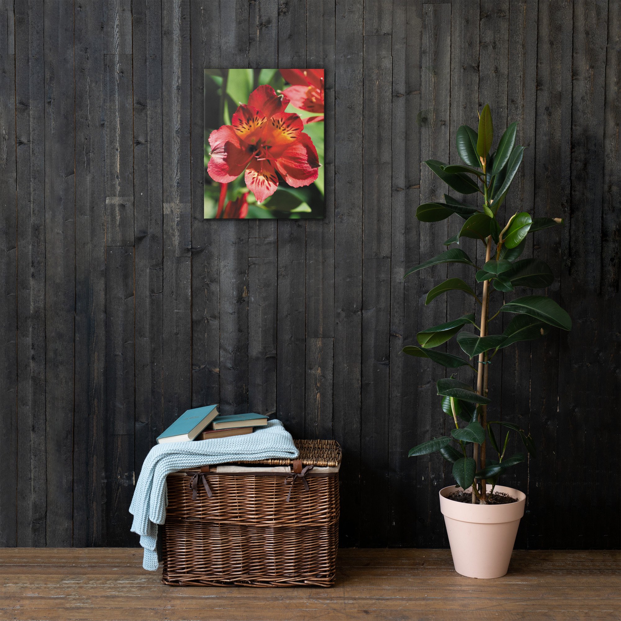 thin-canvas-(in)-16x20-front-6733cc9cb3521.jpg