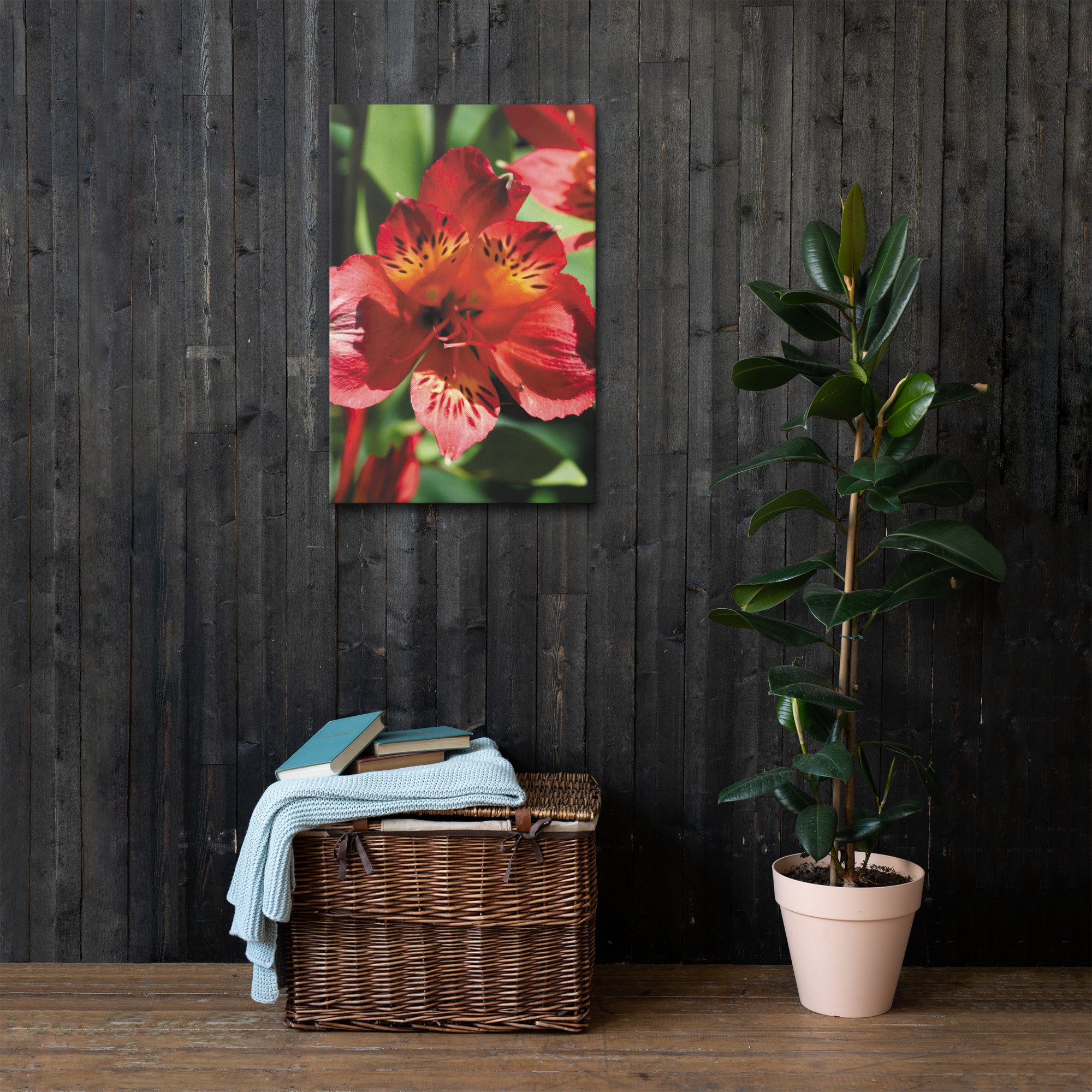 thin-canvas-(in)-20x30-front-6733cc9cb3729.jpg