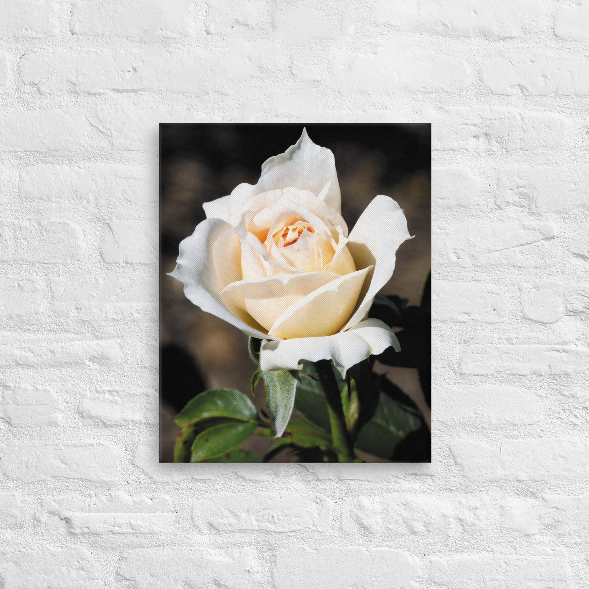 thin-canvas-(in)-16x20-front-6734d7008381e.jpg