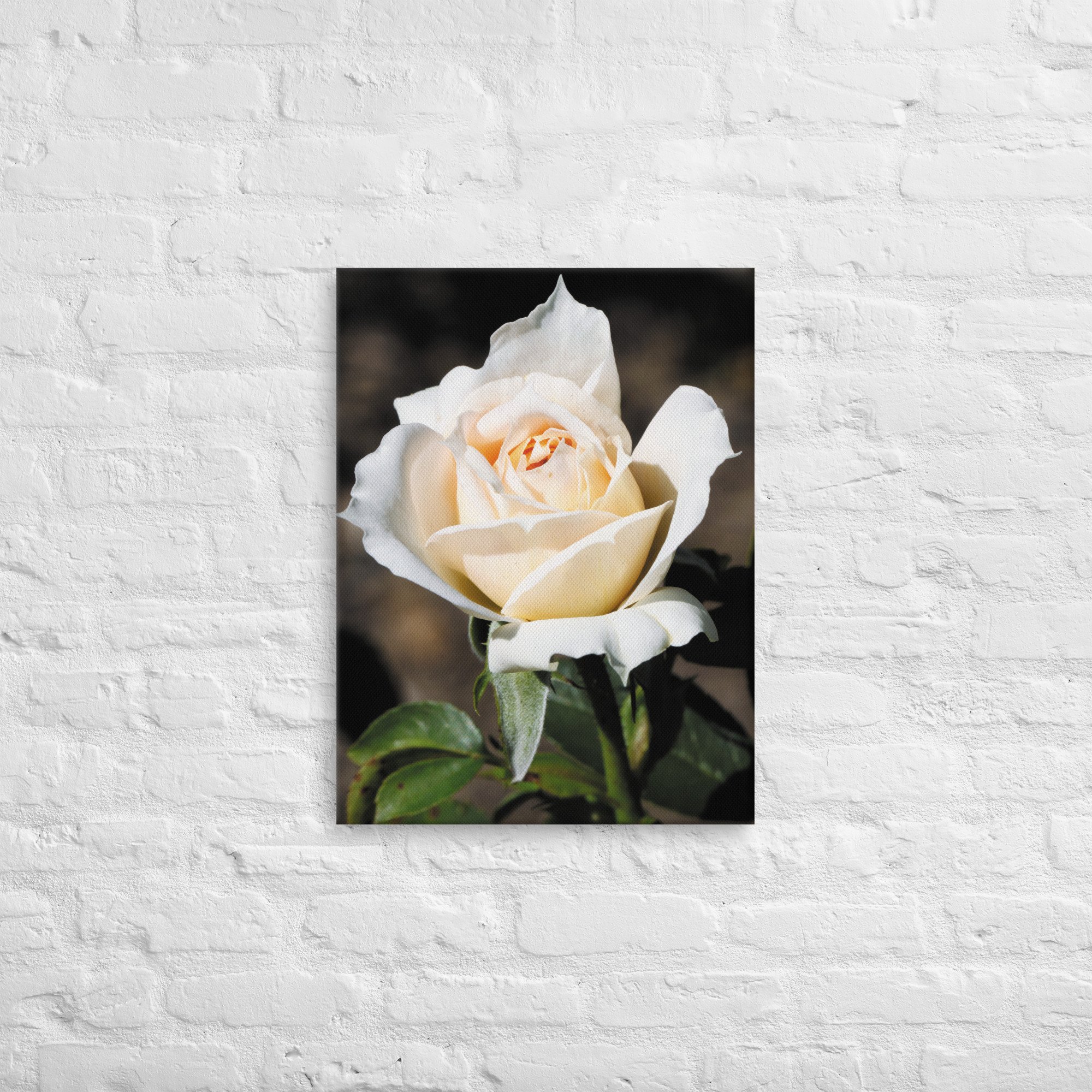 thin-canvas-(in)-18x24-front-6734d7008387a.jpg