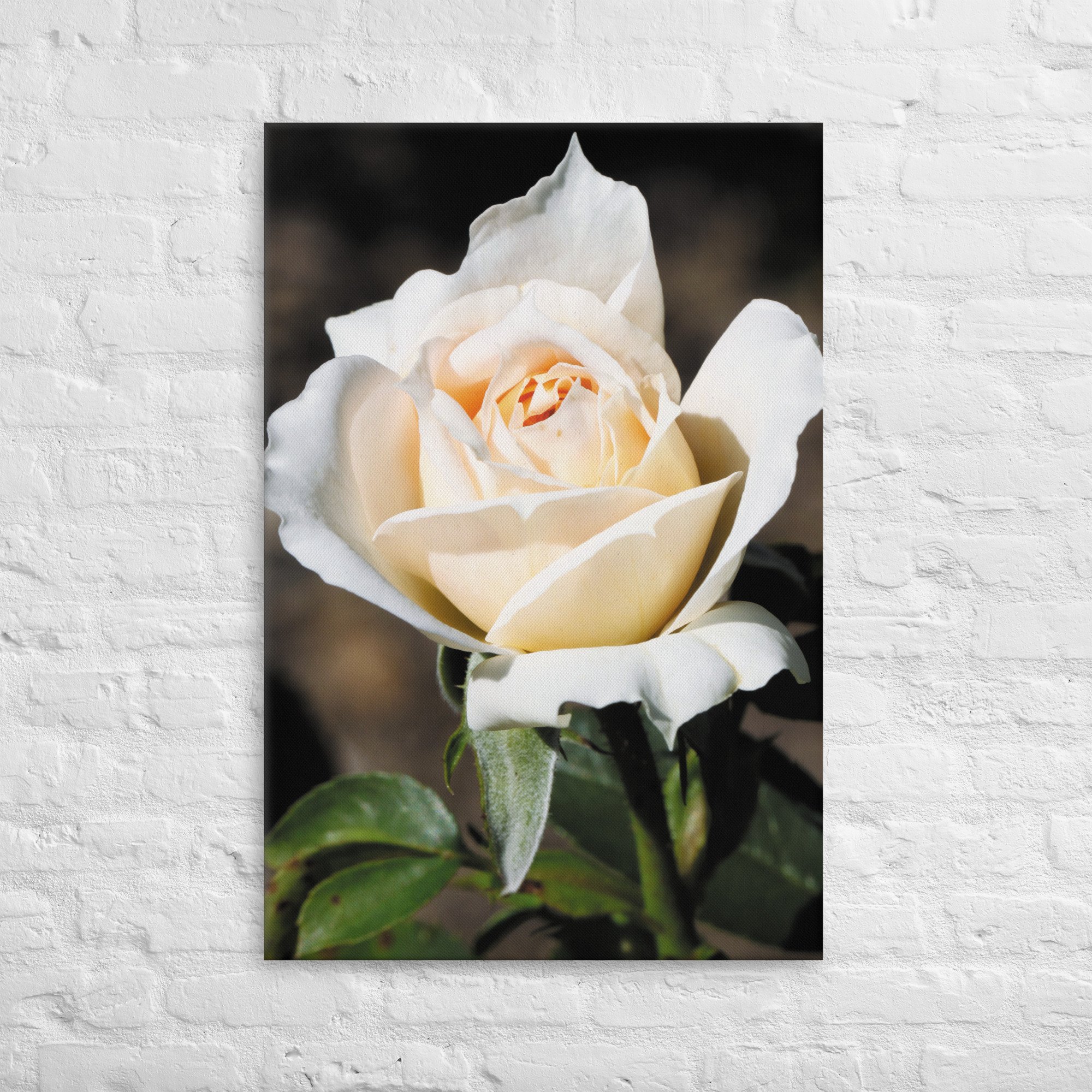 thin-canvas-(in)-24x36-front-6734d700838d9.jpg