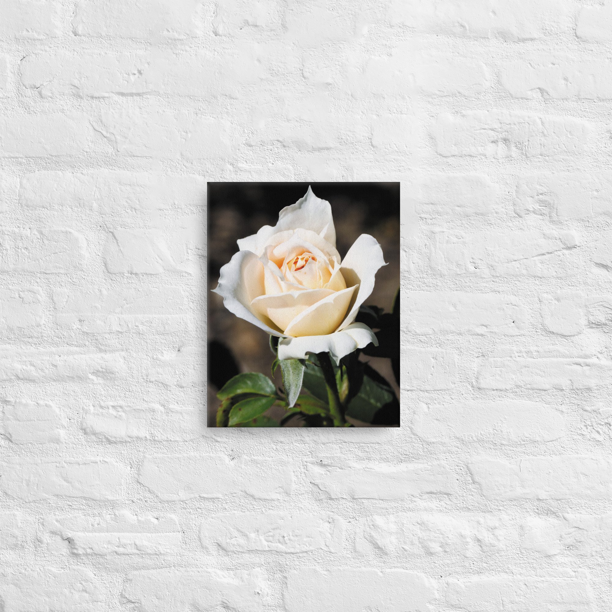 thin-canvas-(in)-11x14-front-6734d7008392c.jpg