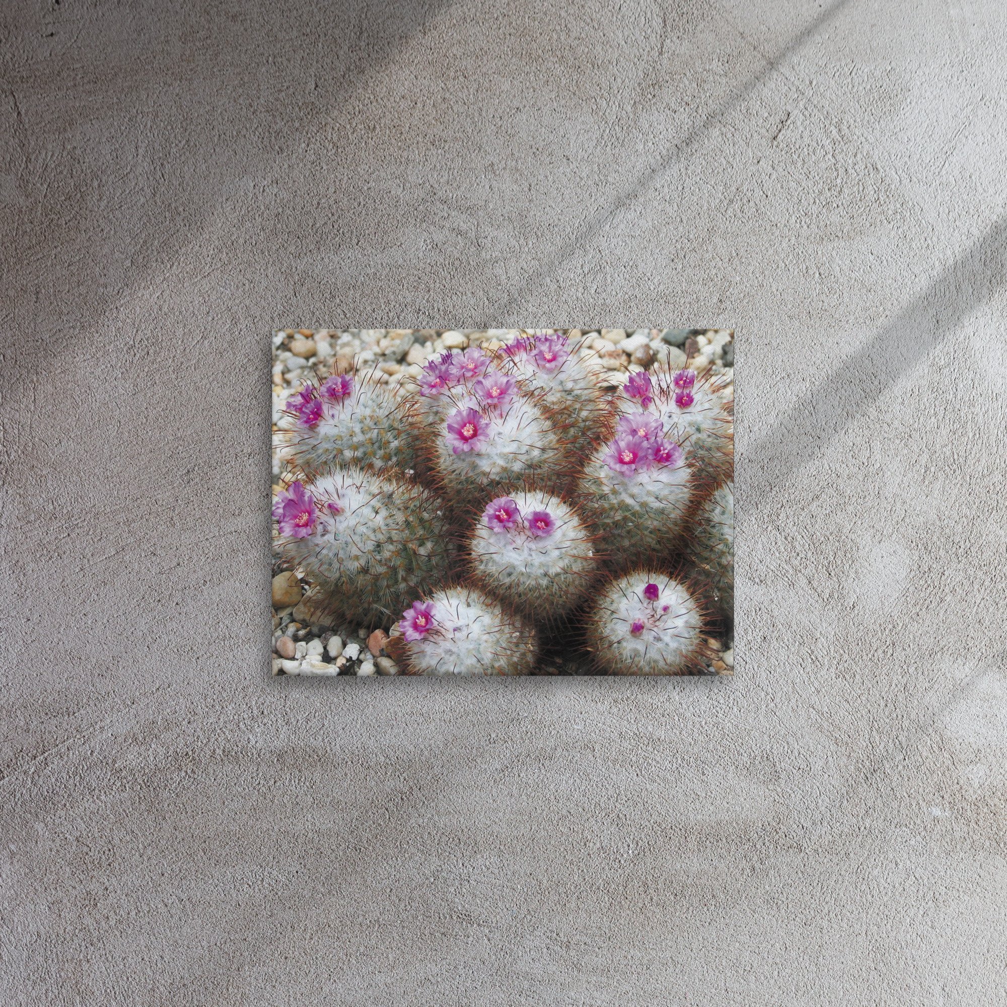 thin-canvas-(in)-12x16-front-67356f771b134.jpg