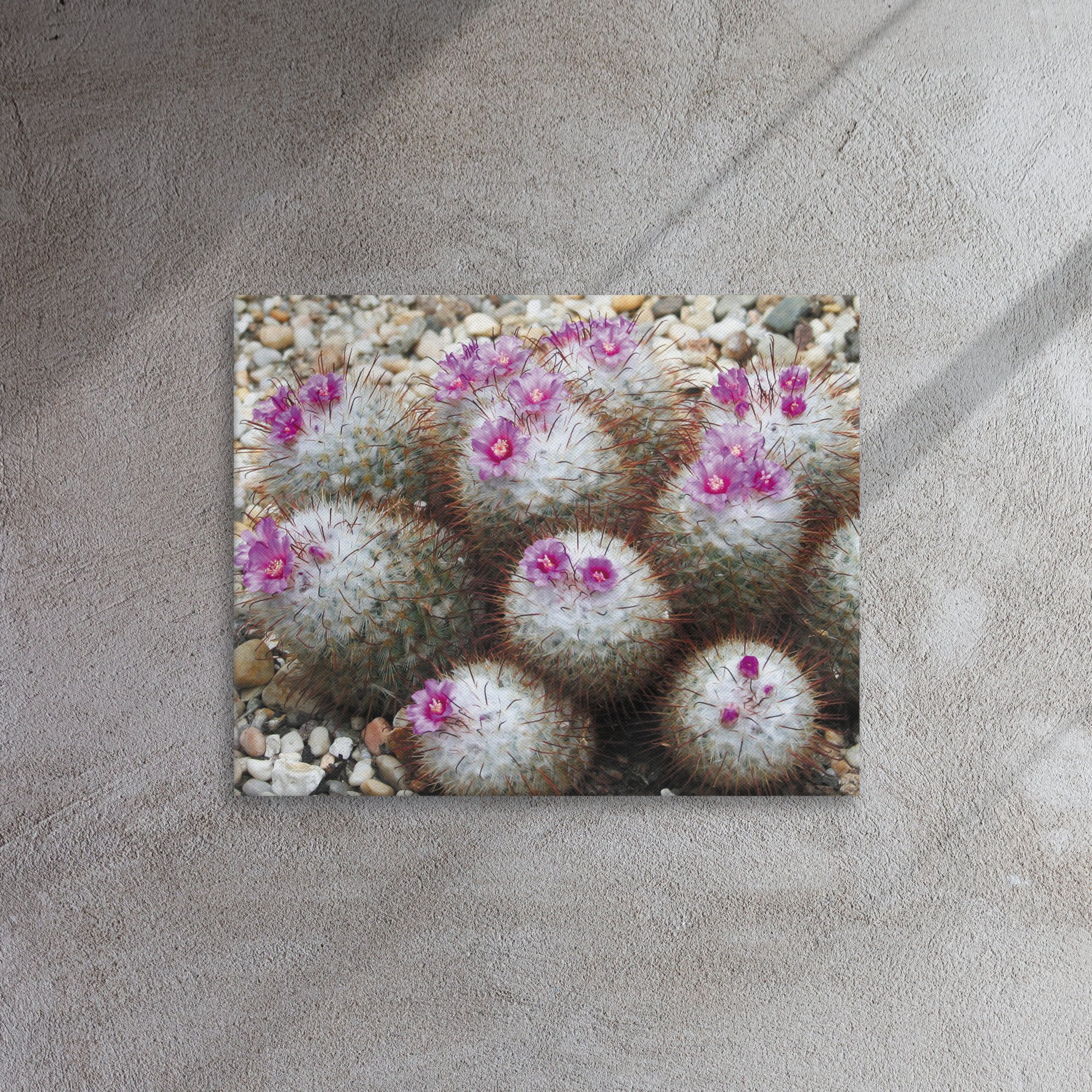 thin-canvas-(in)-16x20-front-67356f771b1f7.jpg