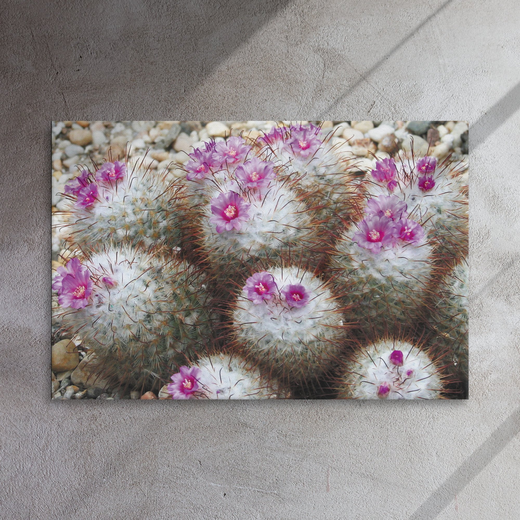 thin-canvas-(in)-24x36-front-67356f771b2f9.jpg