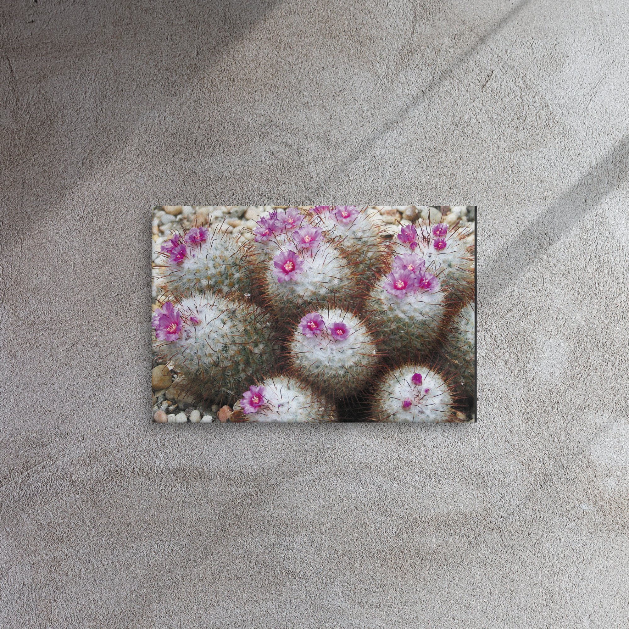 thin-canvas-(in)-12x18-front-67356f771b3c7.jpg