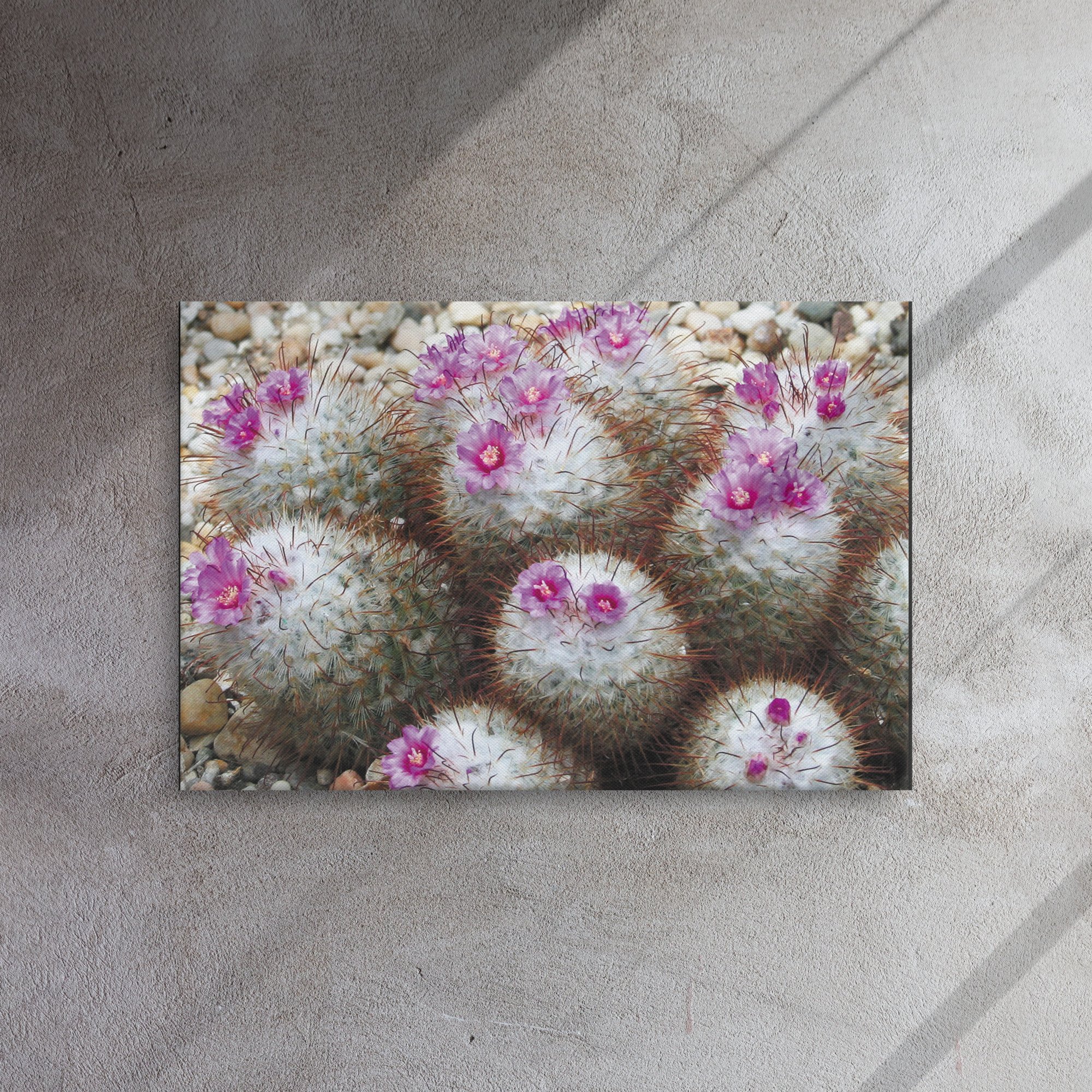thin-canvas-(in)-20x30-front-67356f771b4b2.jpg