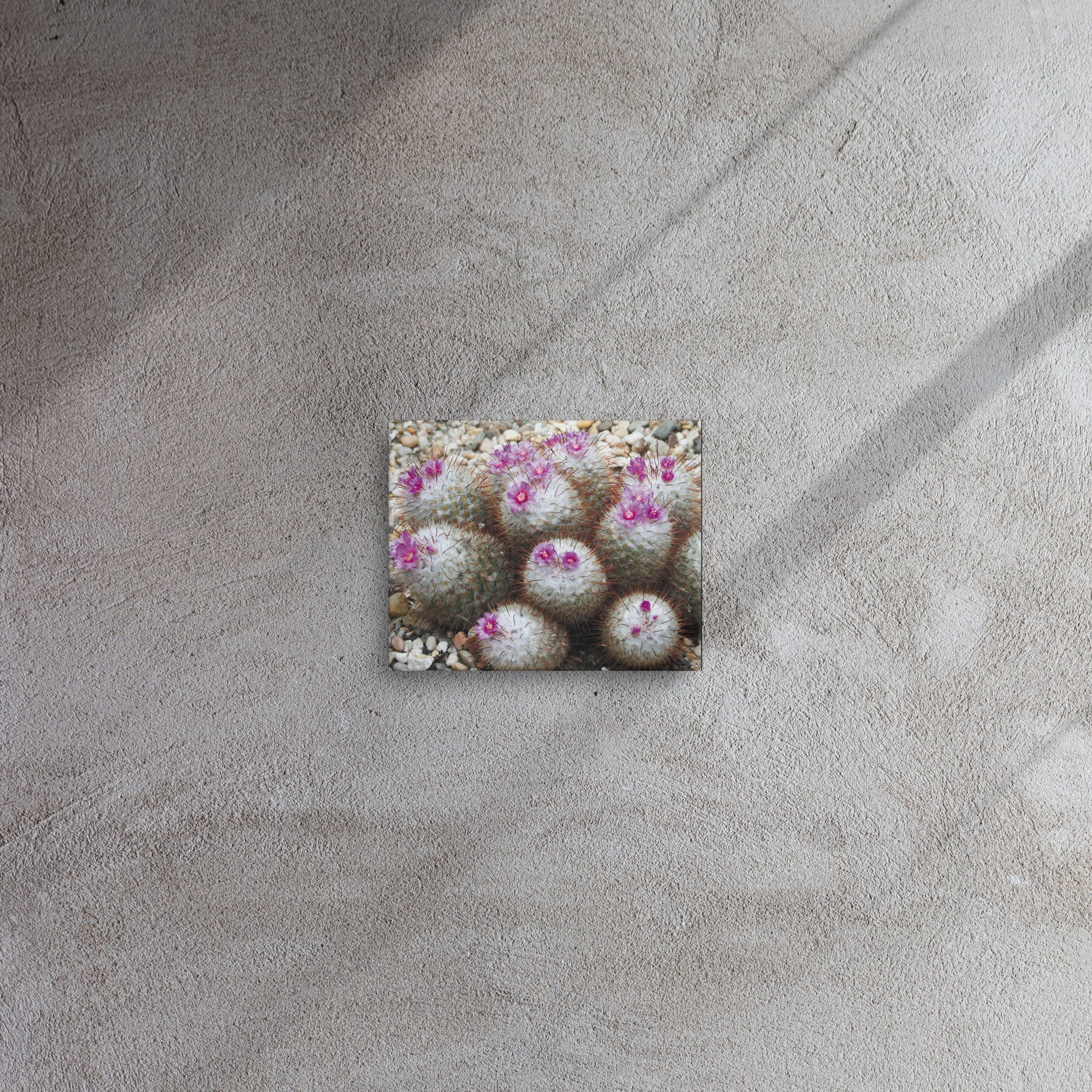 thin-canvas-(in)-8x10-front-67356f771b552.jpg