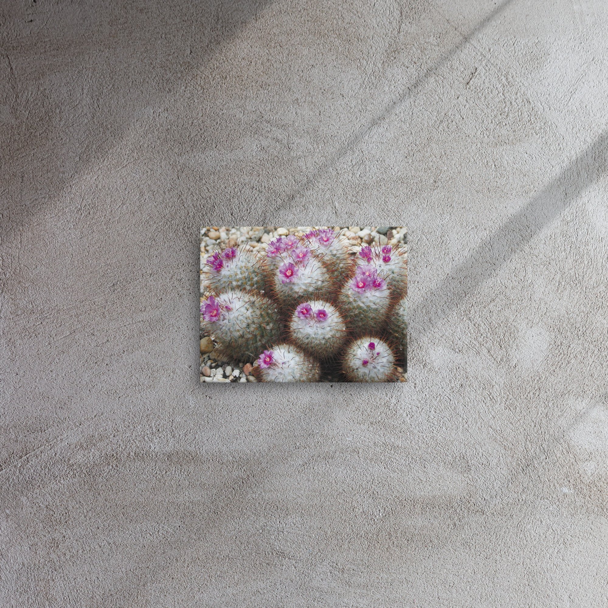 thin-canvas-(in)-9x12-front-67356f771b5c5.jpg