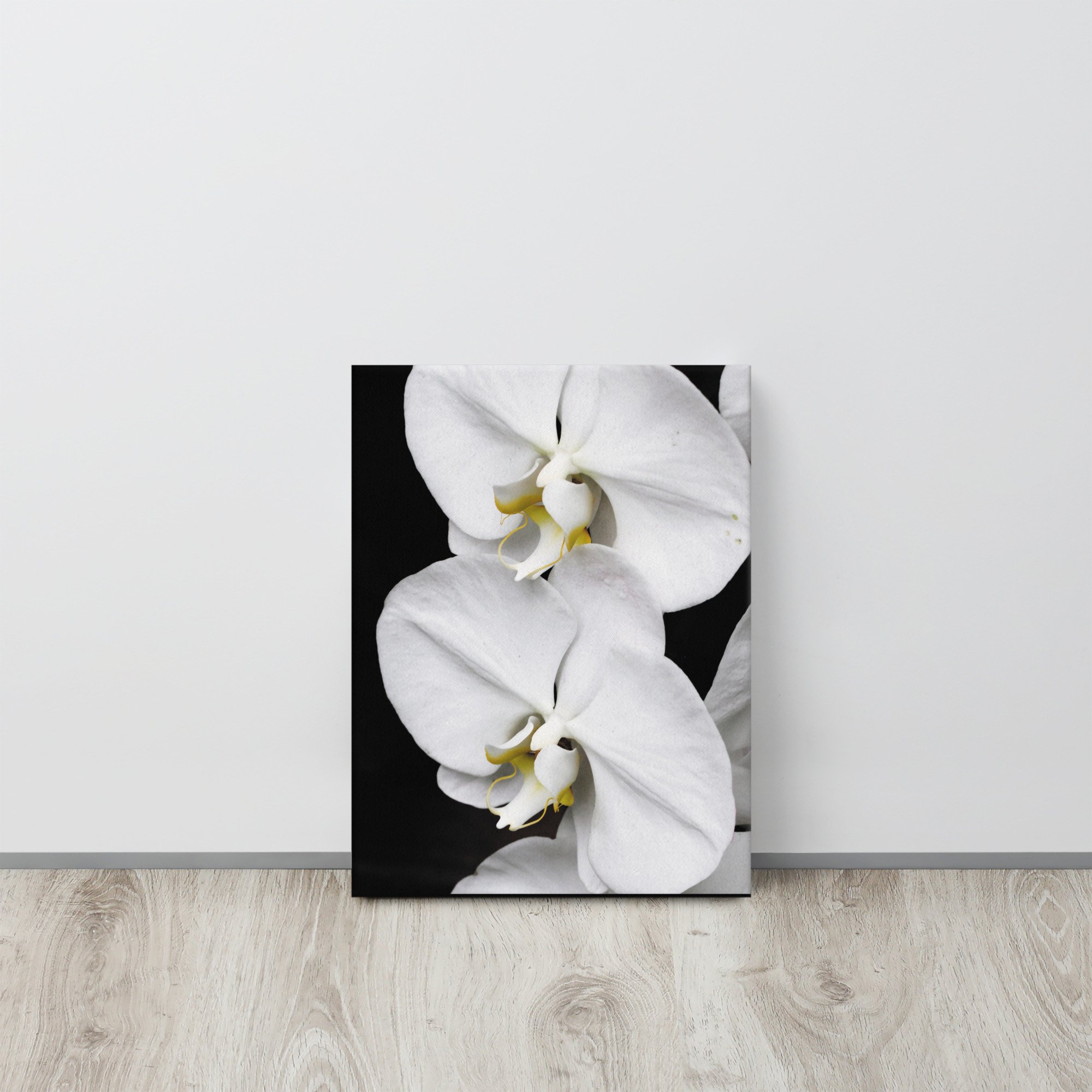 thin-canvas-(in)-12x16-front-67362ff7a7733.jpg
