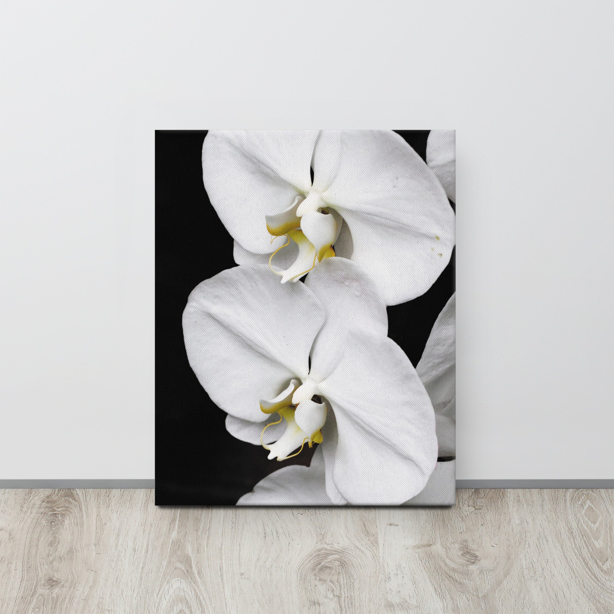 thin-canvas-(in)-16x20-front-67362ff7a77d5.jpg