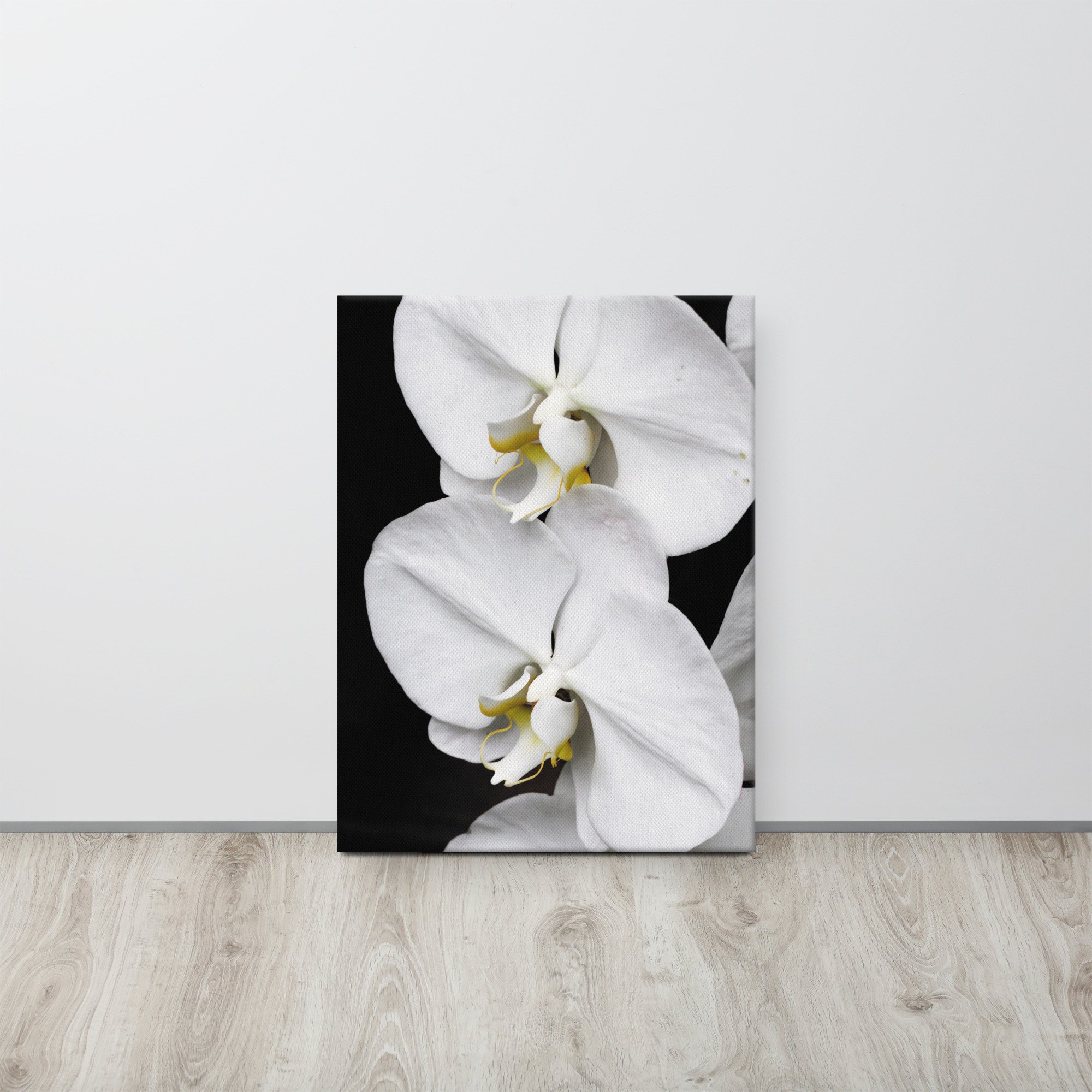 thin-canvas-(in)-18x24-front-67362ff7a7833.jpg