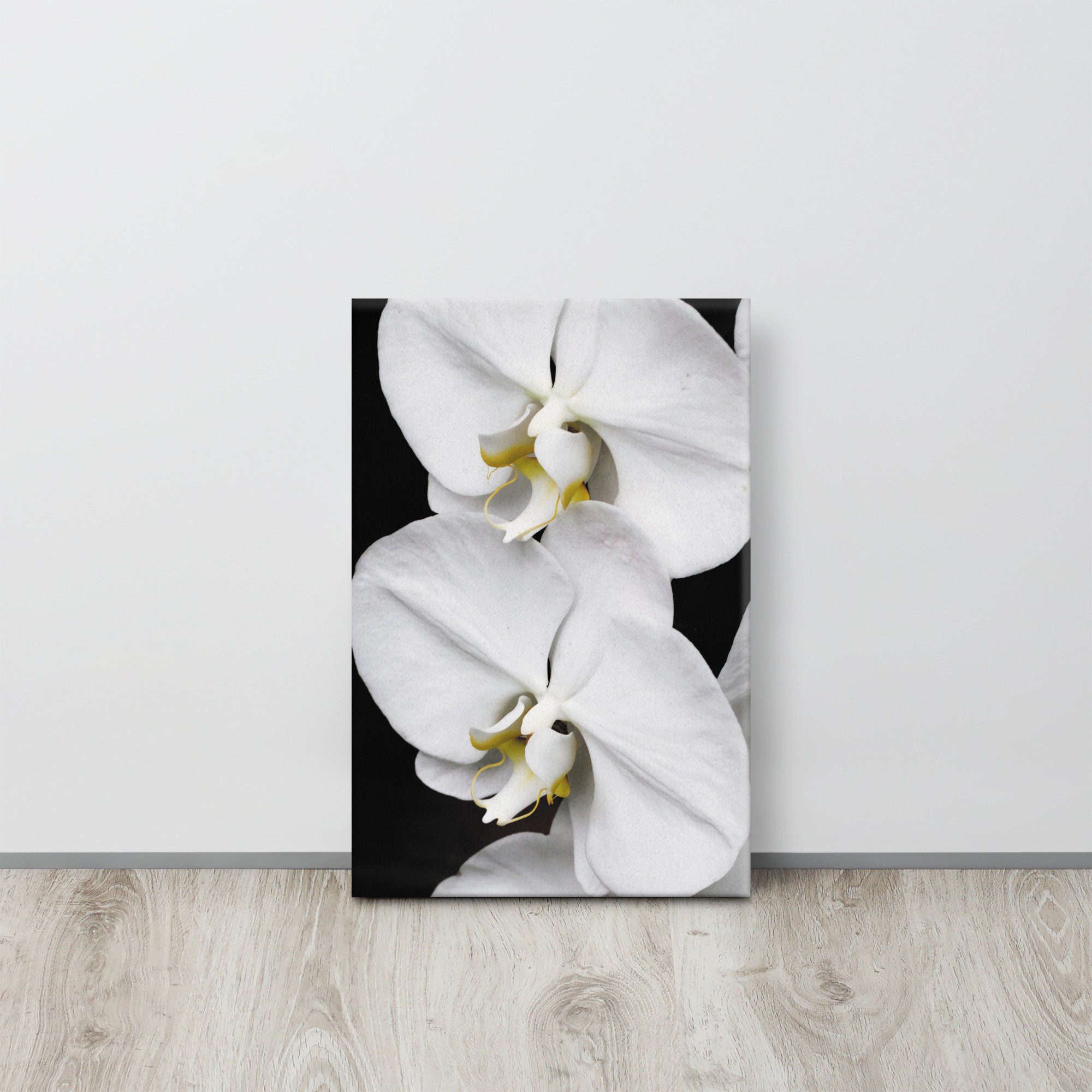 thin-canvas-(in)-12x18-front-67362ff7a792b.jpg