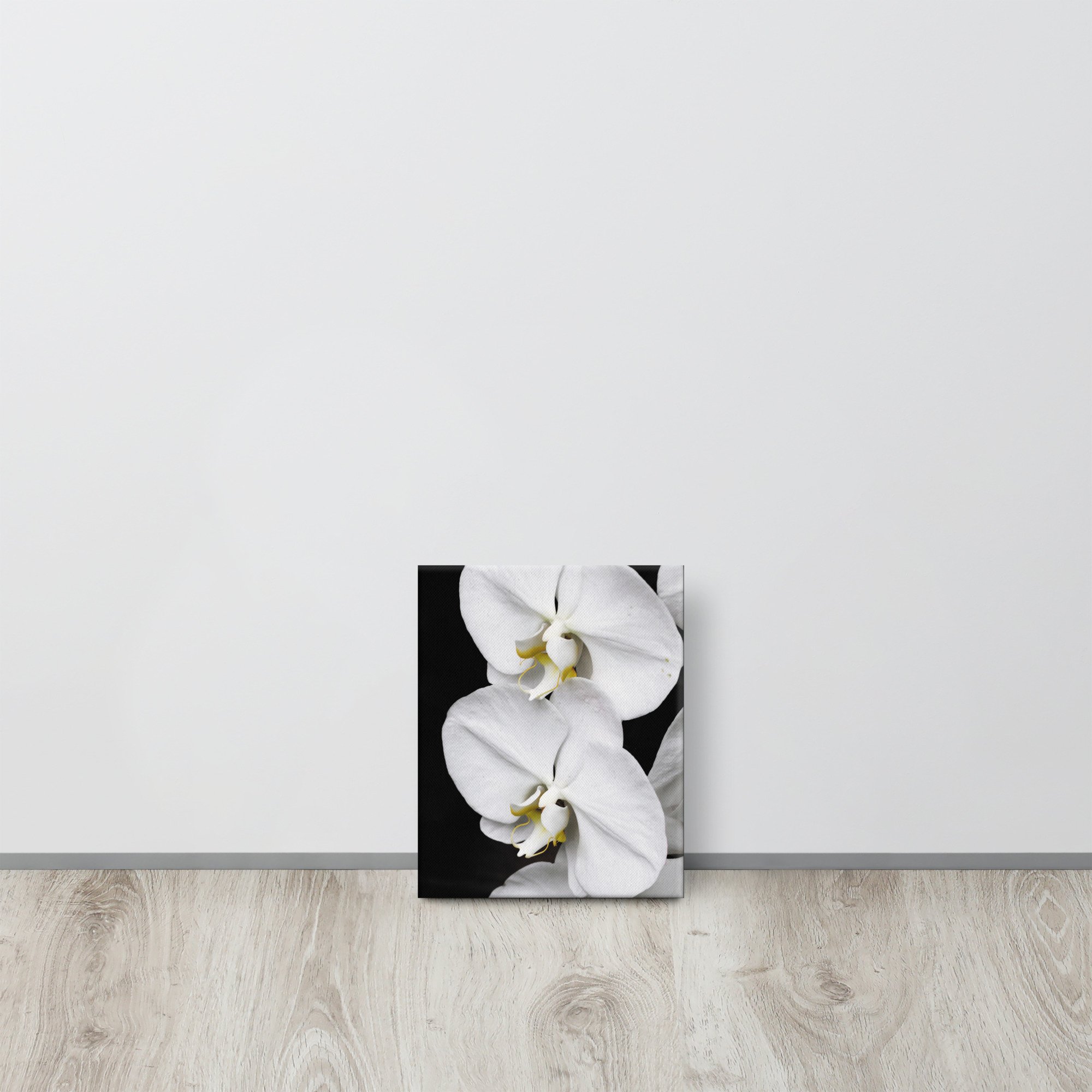 thin-canvas-(in)-8x10-front-67362ff7a7a33.jpg