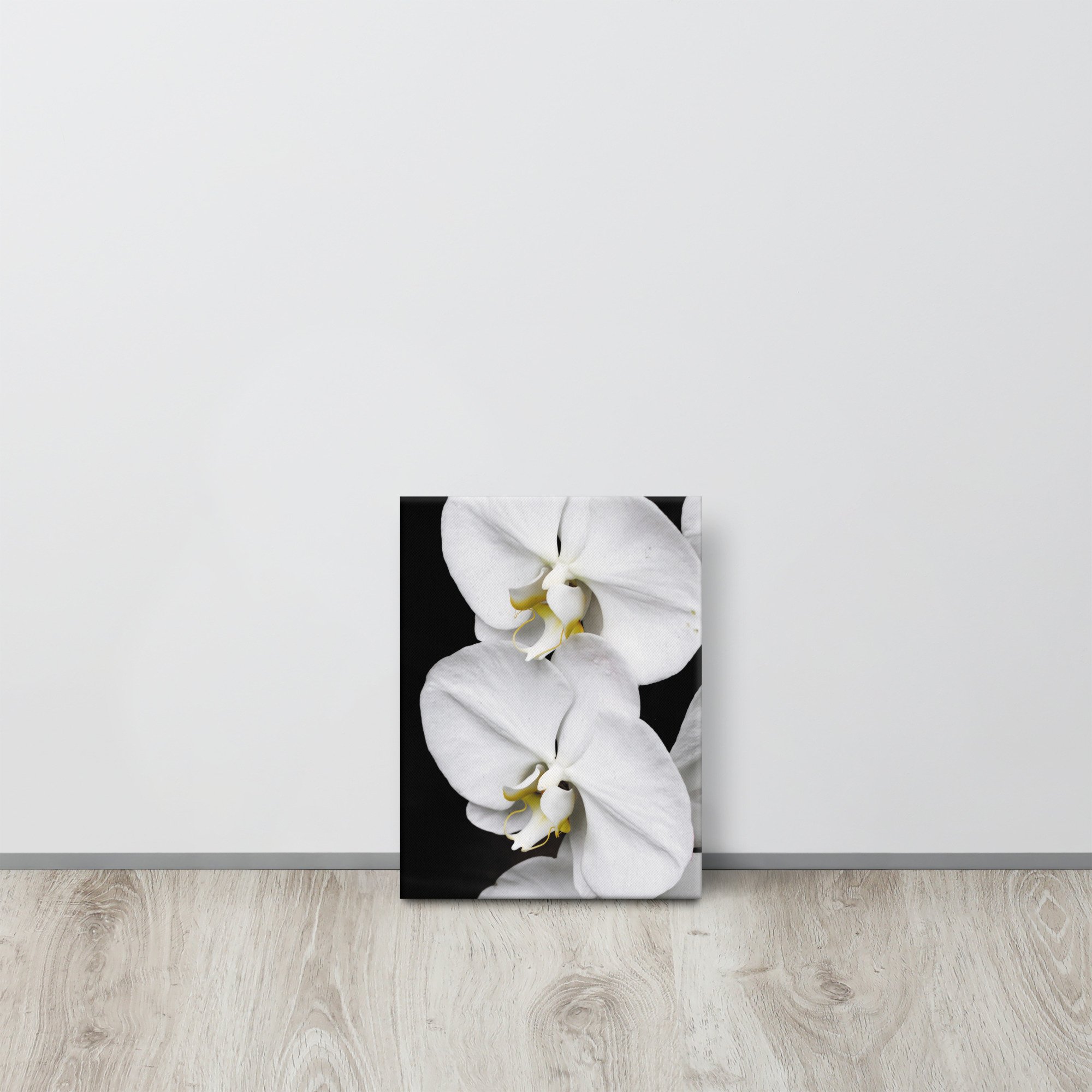 thin-canvas-(in)-9x12-front-67362ff7a7a83.jpg