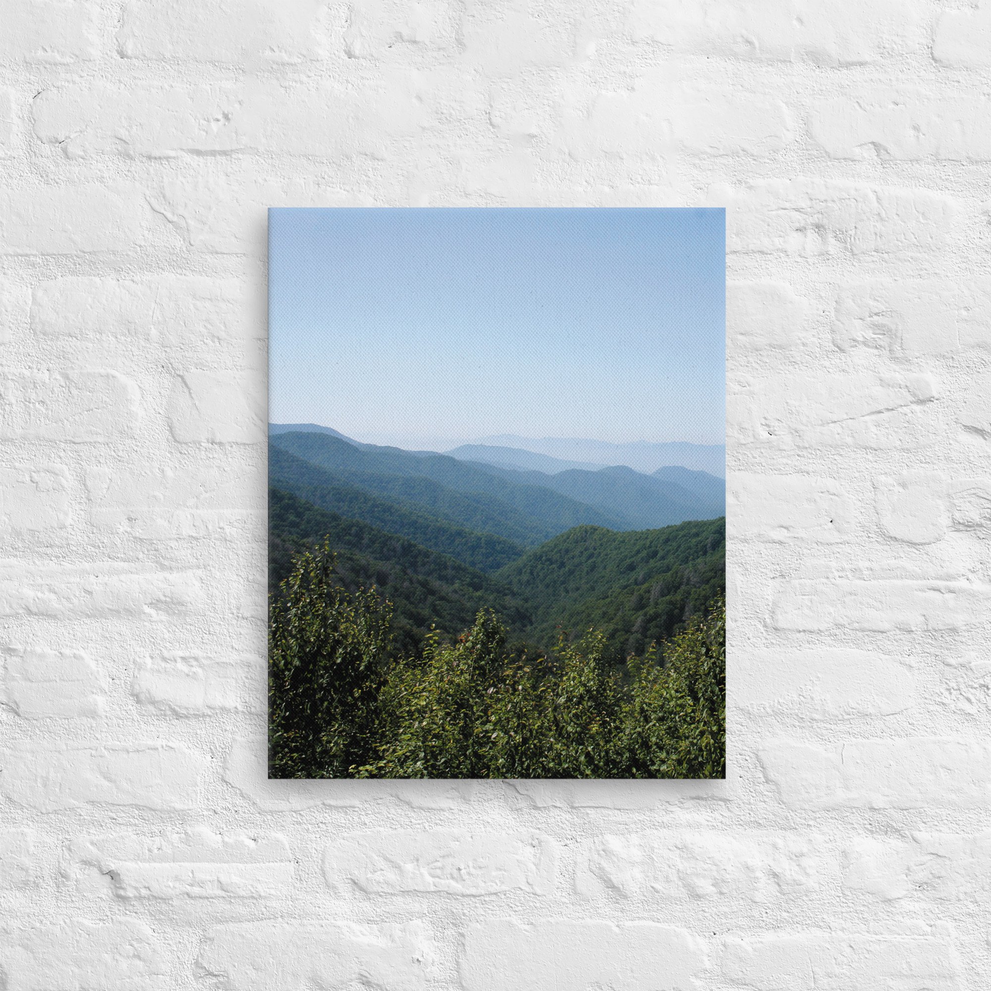 thin-canvas-(in)-16x20-front-674274e34782c.jpg