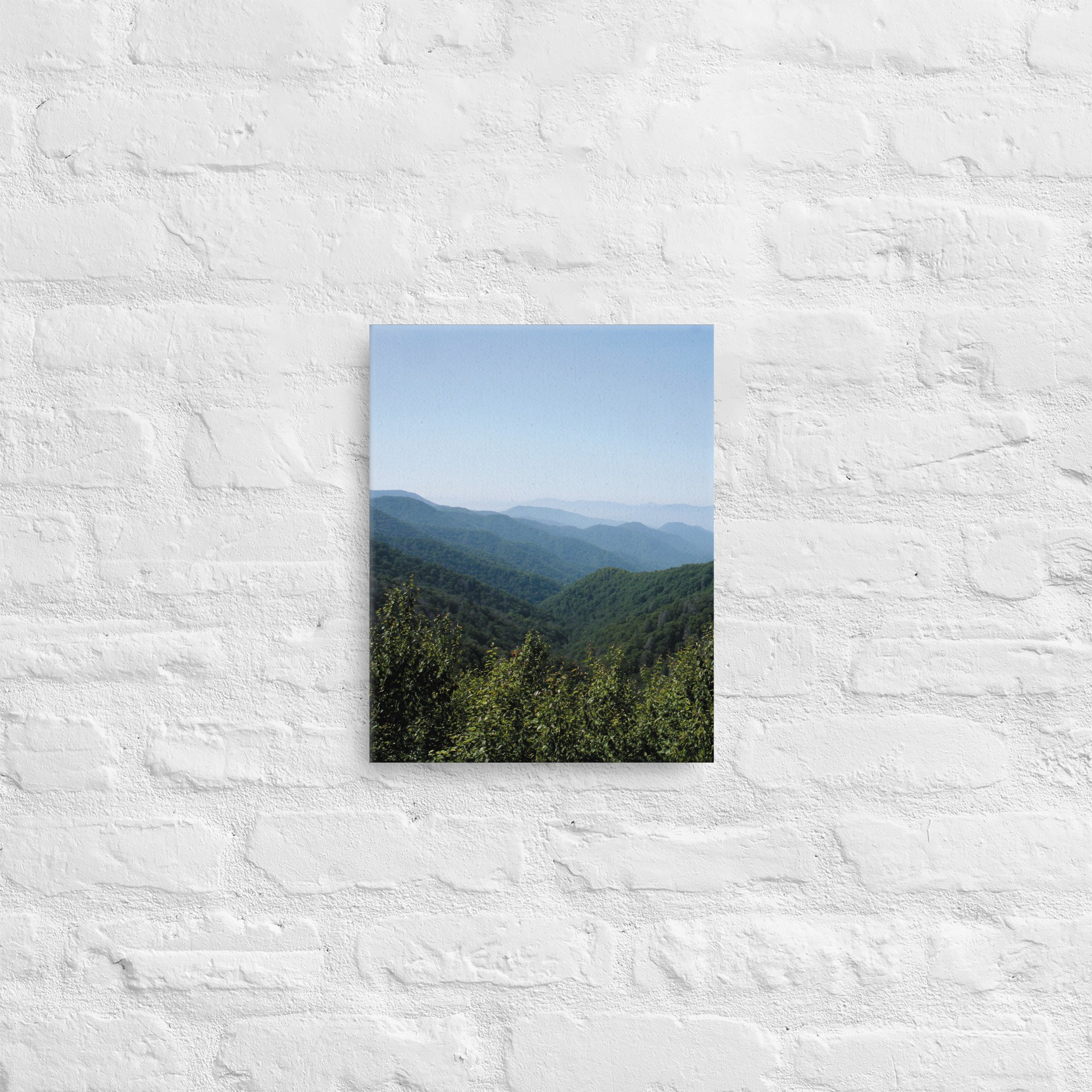 thin-canvas-(in)-11x14-front-674274e3479d2.jpg