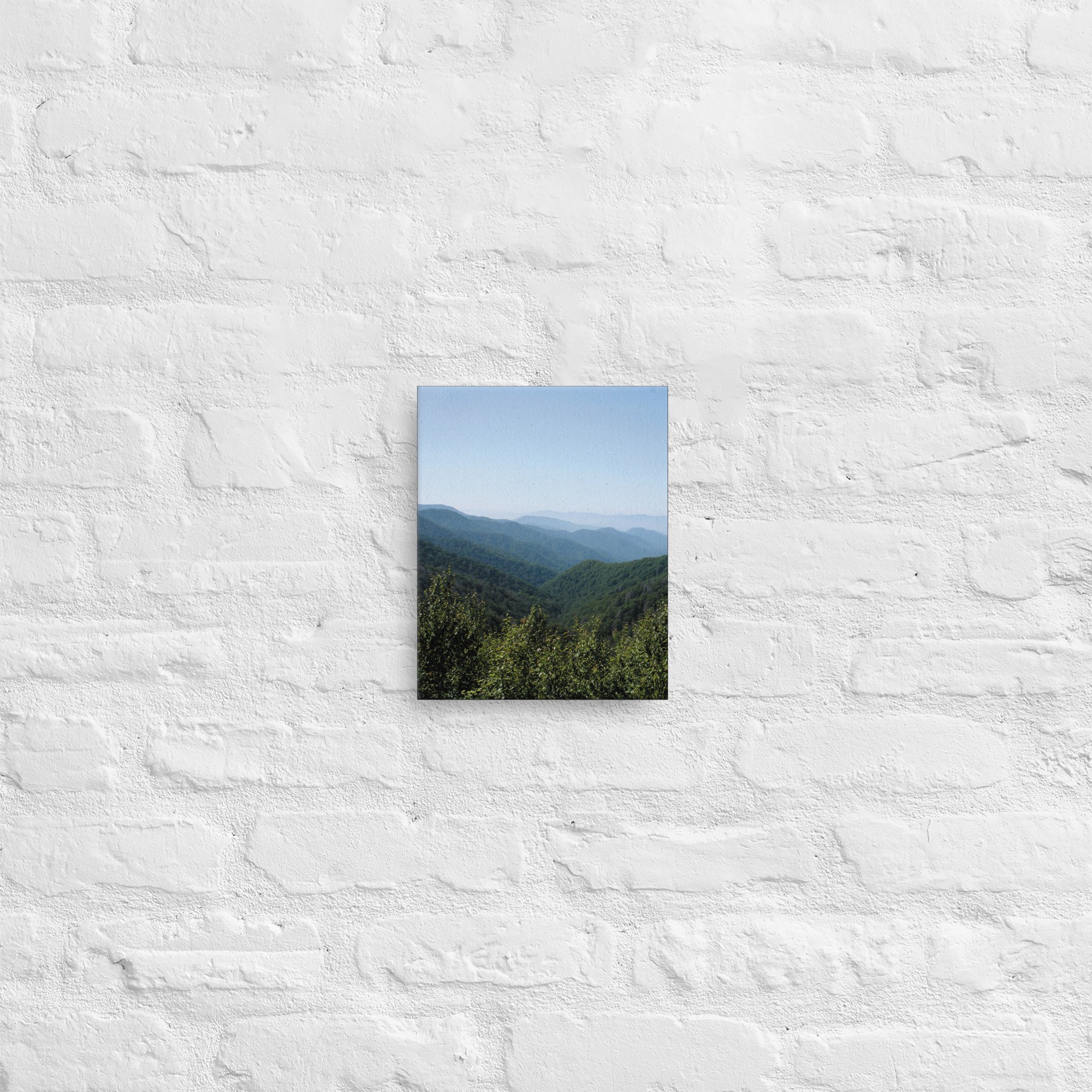 thin-canvas-(in)-8x10-front-674274e347c22.jpg