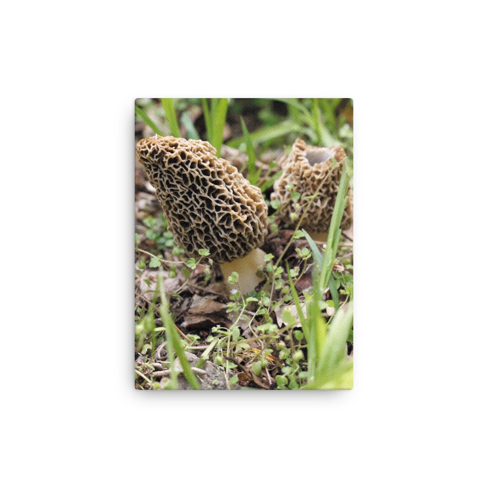 thin-canvas-(in)-9x12-front-6745fd30aabf5.jpg