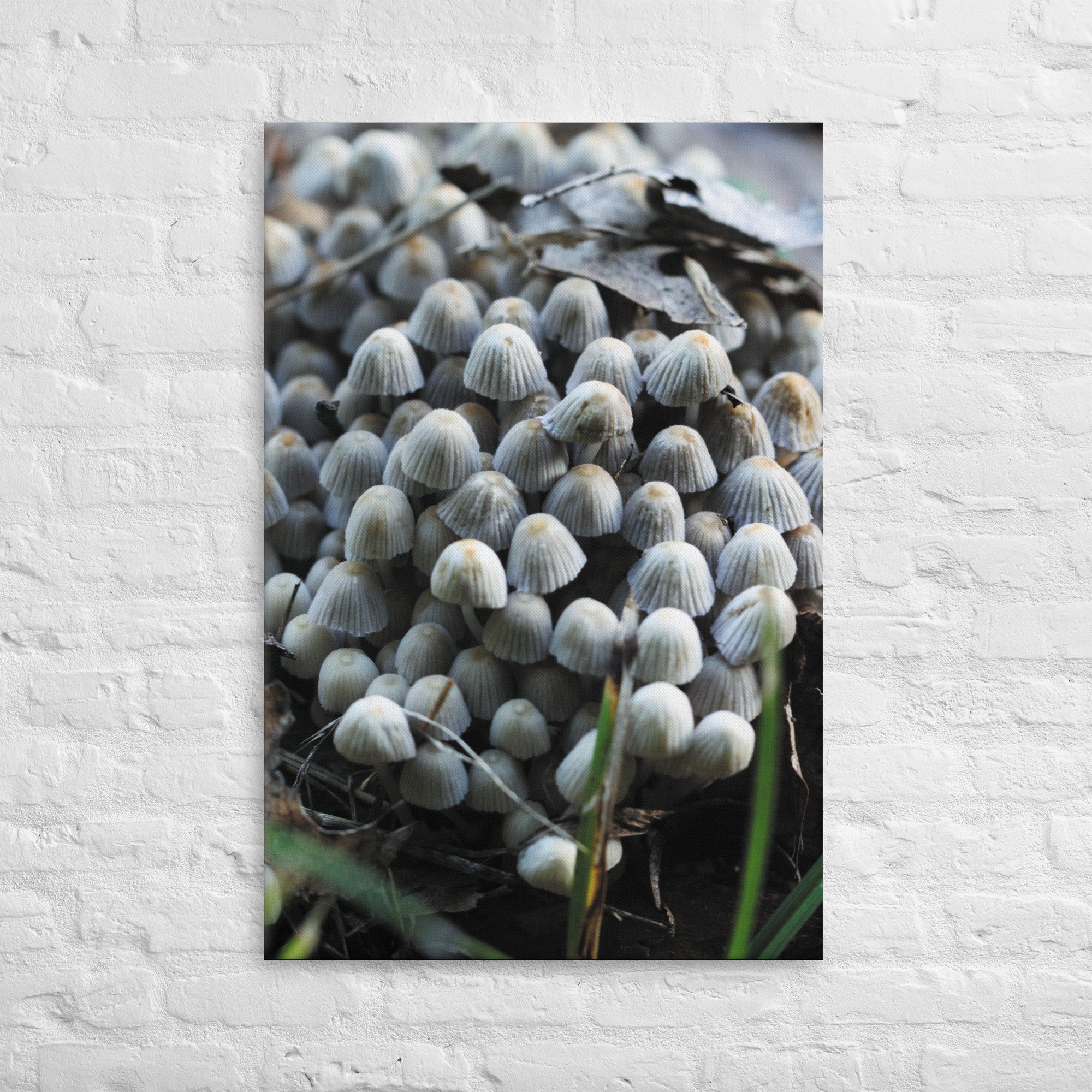 thin-canvas-(in)-24x36-front-67461c05ecfd5.jpg