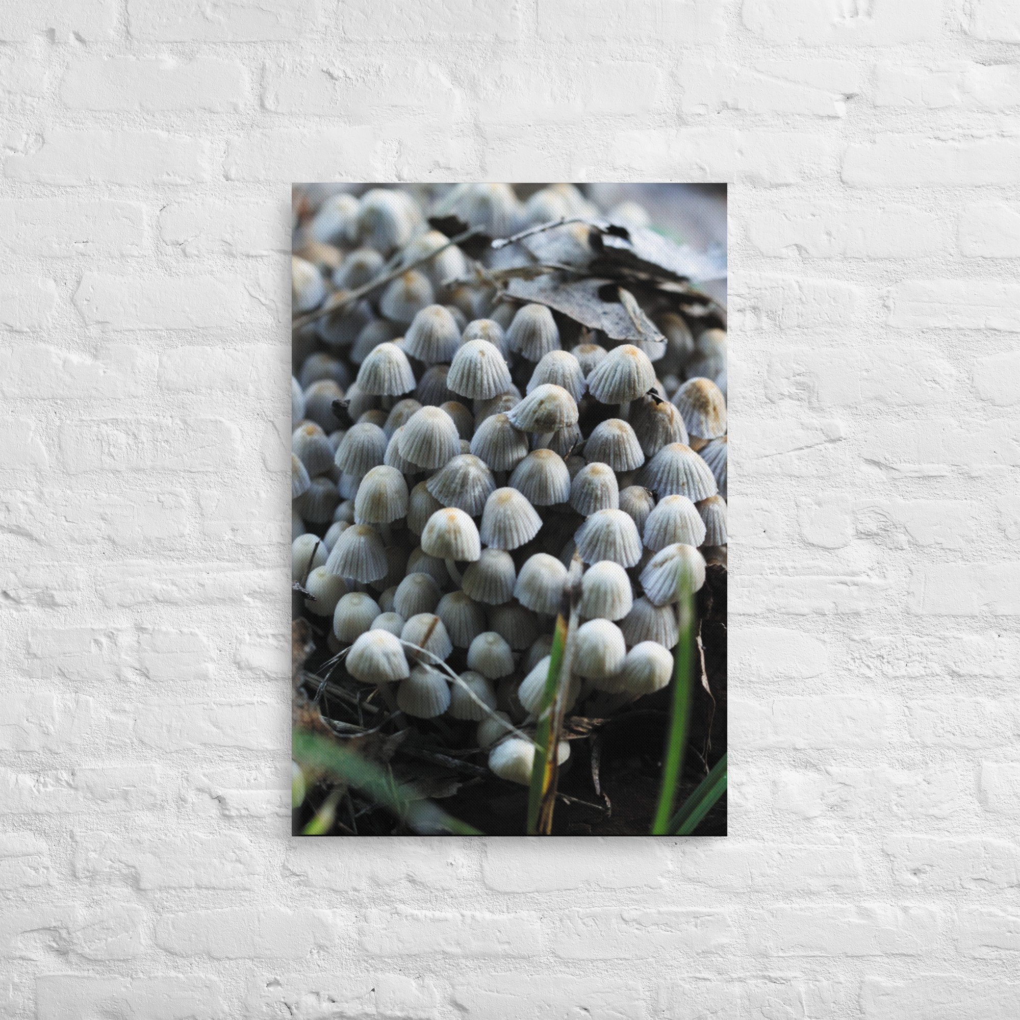 thin-canvas-(in)-20x30-front-67461c05ed225.jpg