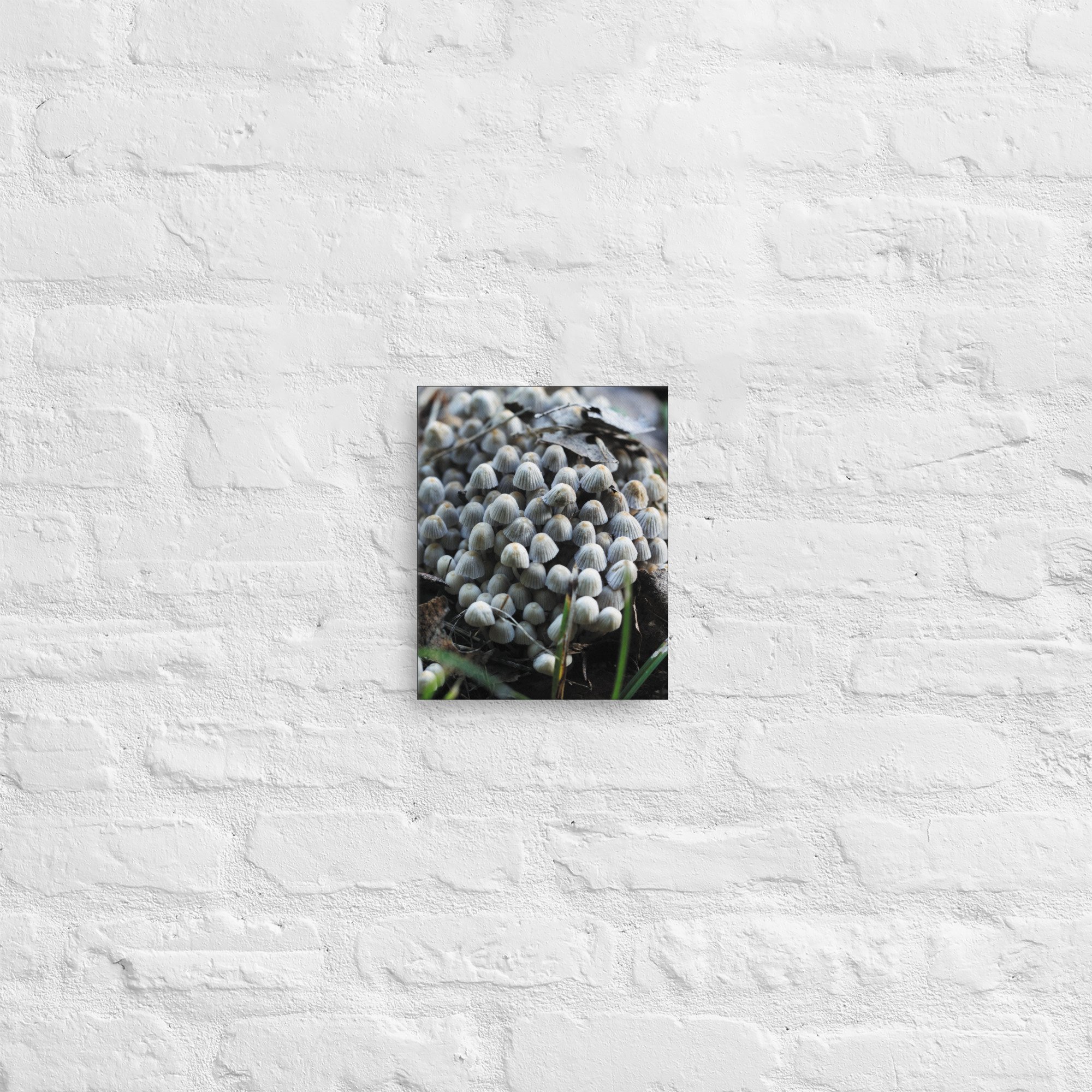 thin-canvas-(in)-8x10-front-67461c05ed2df.jpg