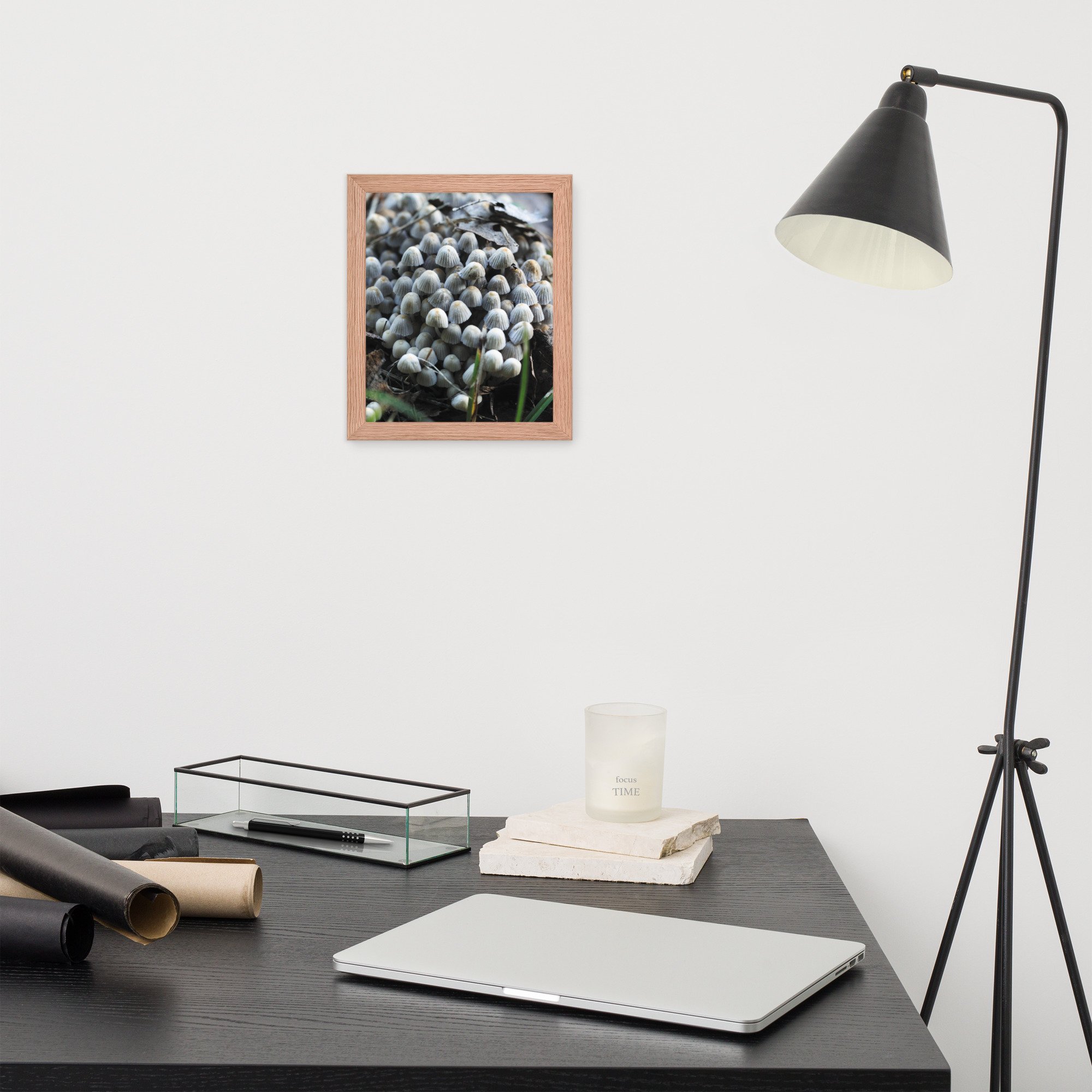 premium-luster-photo-paper-framed-poster-(in)-red-oak-8x10-front-67461d6b1a04c.jpg