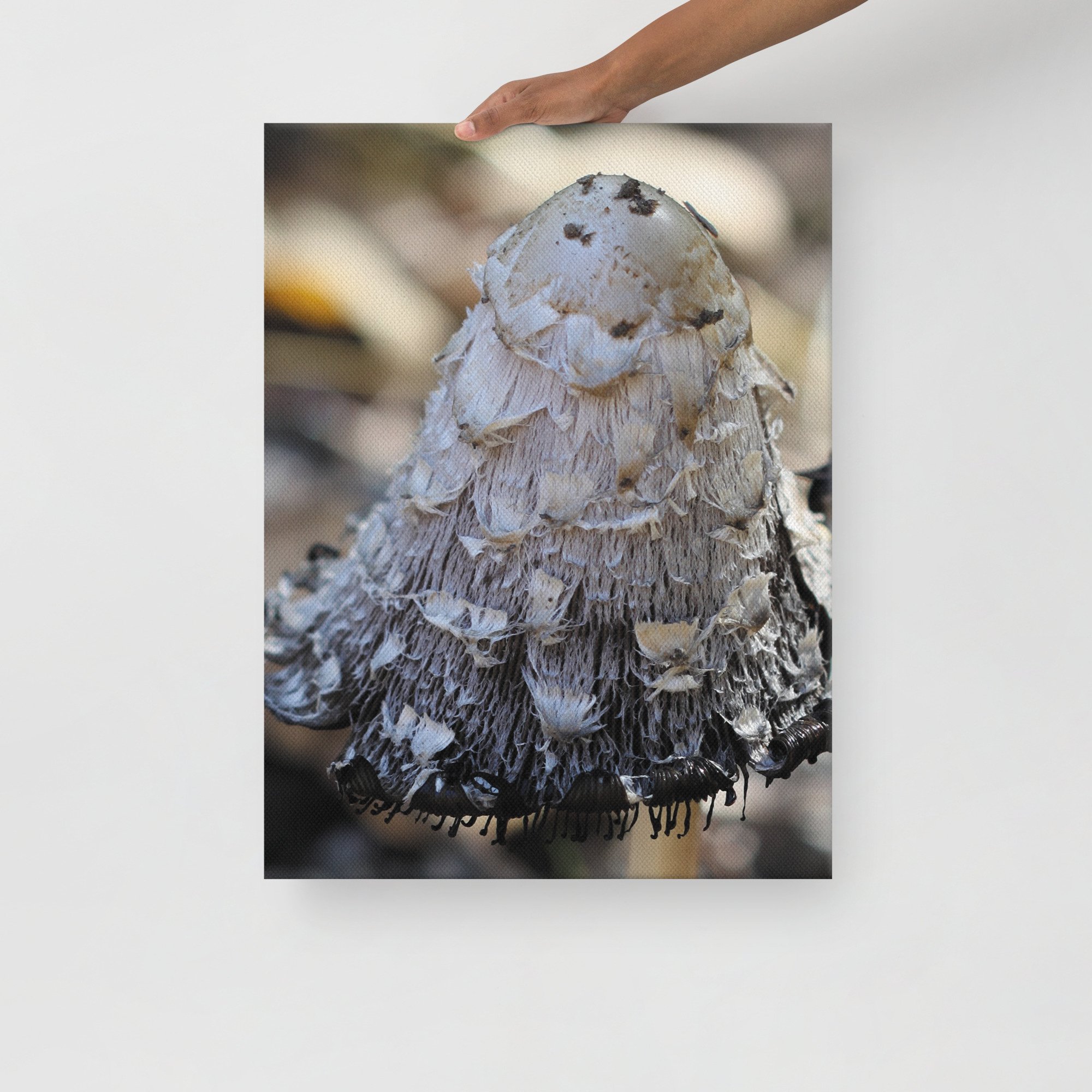 thin-canvas-(in)-18x24-front-674620d0bdf26.jpg