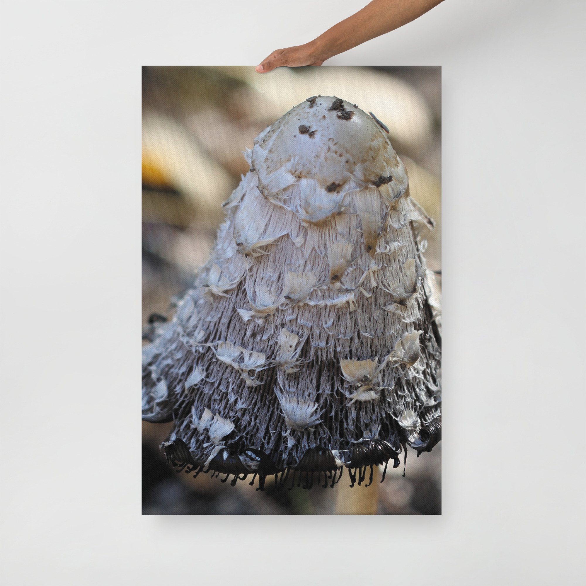 thin-canvas-(in)-24x36-front-674620d0bdf7b.jpg